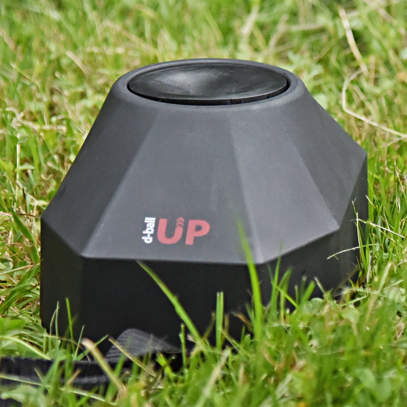 D-ball up spara palle per cani