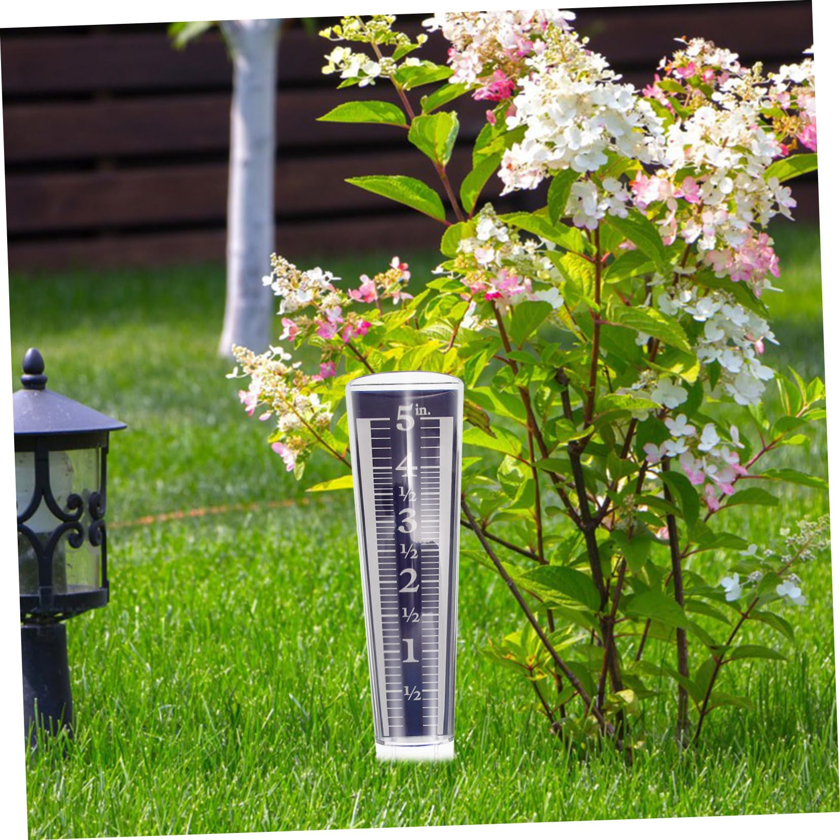 5stücke Rain Gauge Transparent Mit Präziser Regenmesszylinder Für Außenbereich Garten Regenmesser Langlebig Und Einfach Abzulesen Für Gartenbewässerung