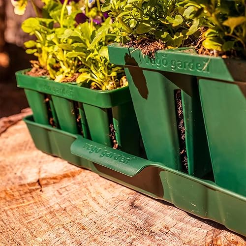 Miniatura 2 de Vego garden Bandejas de riego inferiores para plantas de semillero, bandejas de plántulas de 10 x 10 pulgadas, paquete de 4