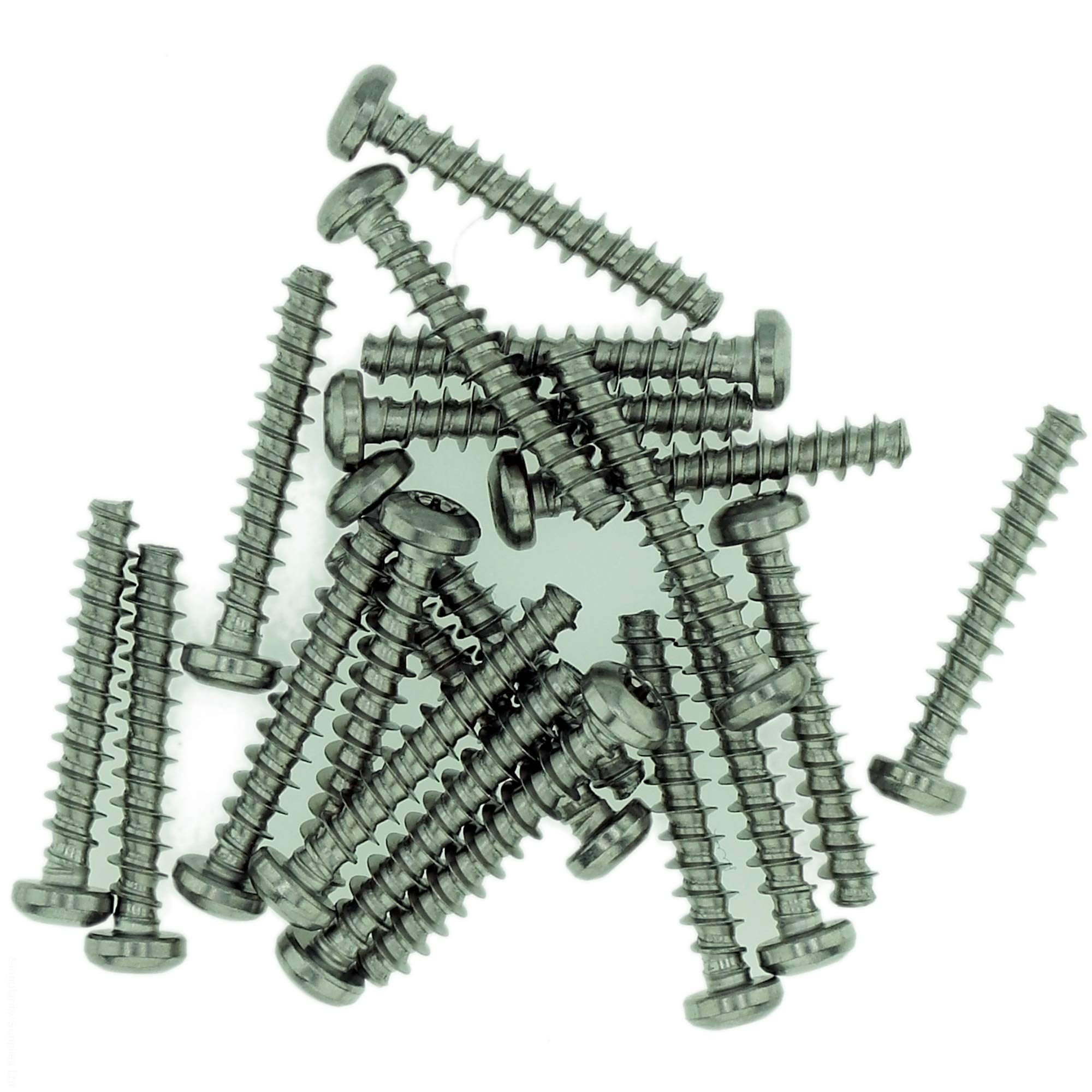 Singularity Supplies D4 (4Mm X 12Mm) Tx Pan Screws For Plastic - Stainless Steel (A2) (Pack Of 20)