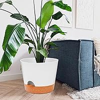 Vista 81 de GARDIFE 10/9/8 inch Plant pots, planters for Indoor Plants, self Watering Plant Pot, Flower pots, Black
