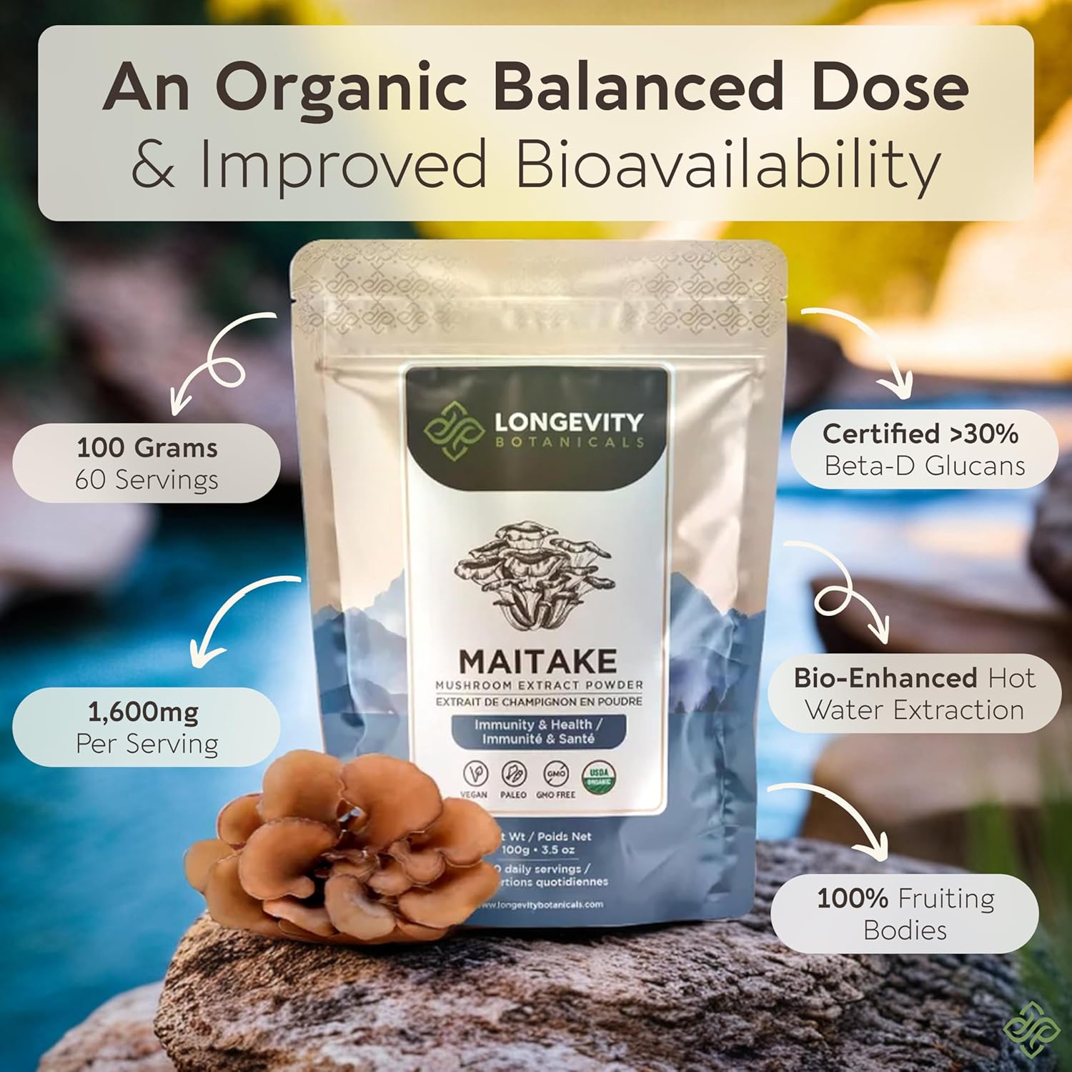 Organic Maitake Mushroom Powder Supplement 100g | Pure Fruiting Body 10:1 High Strength Extract | 30% Beta-D Glucans | 16,600mg Raw Equivalent Per Serving | Immune, Metabolic & Wellness Support - Image 3
