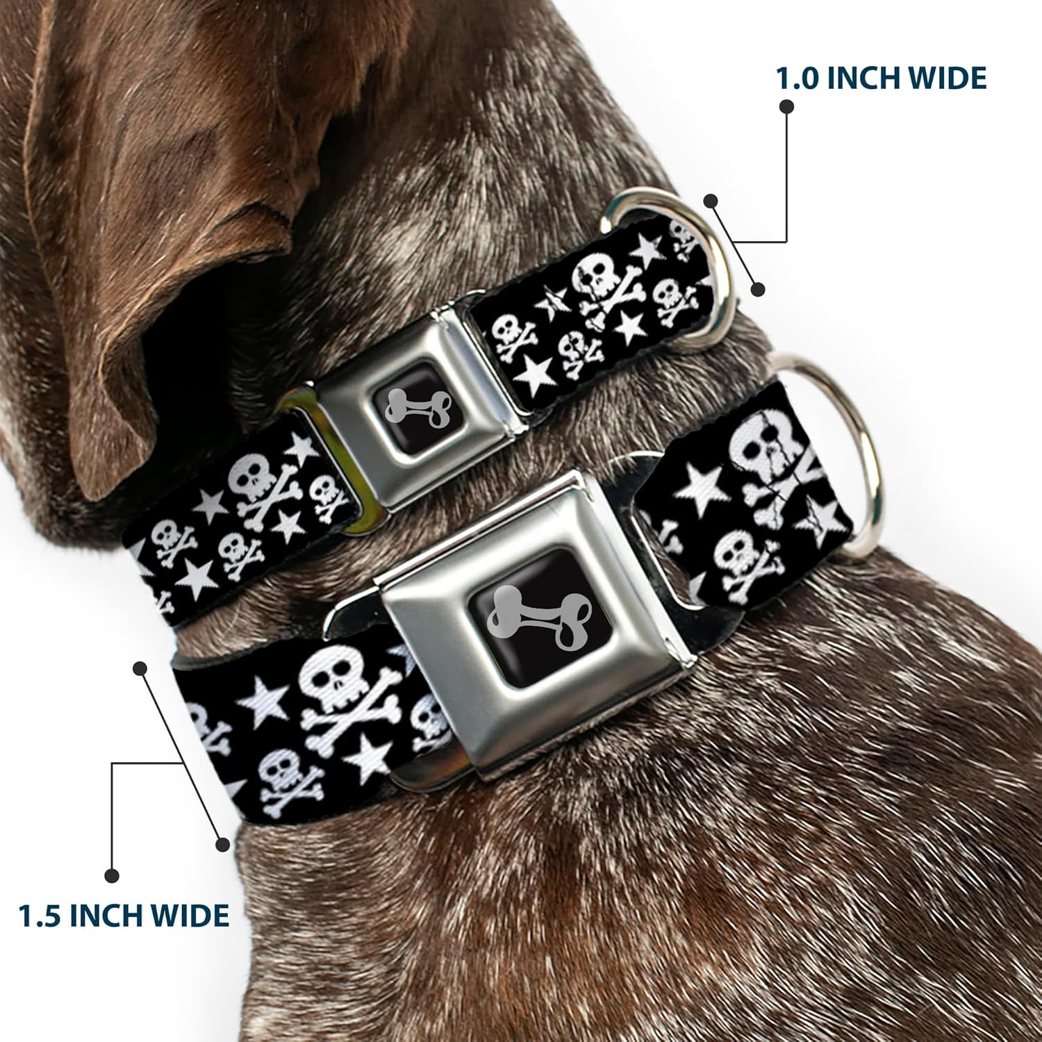 Buckle-Down Seatbelt Buckle Dog Collar - Skulls & Stars Black/White - 1.5" Wide - Fits 16-23" Neck - Medium