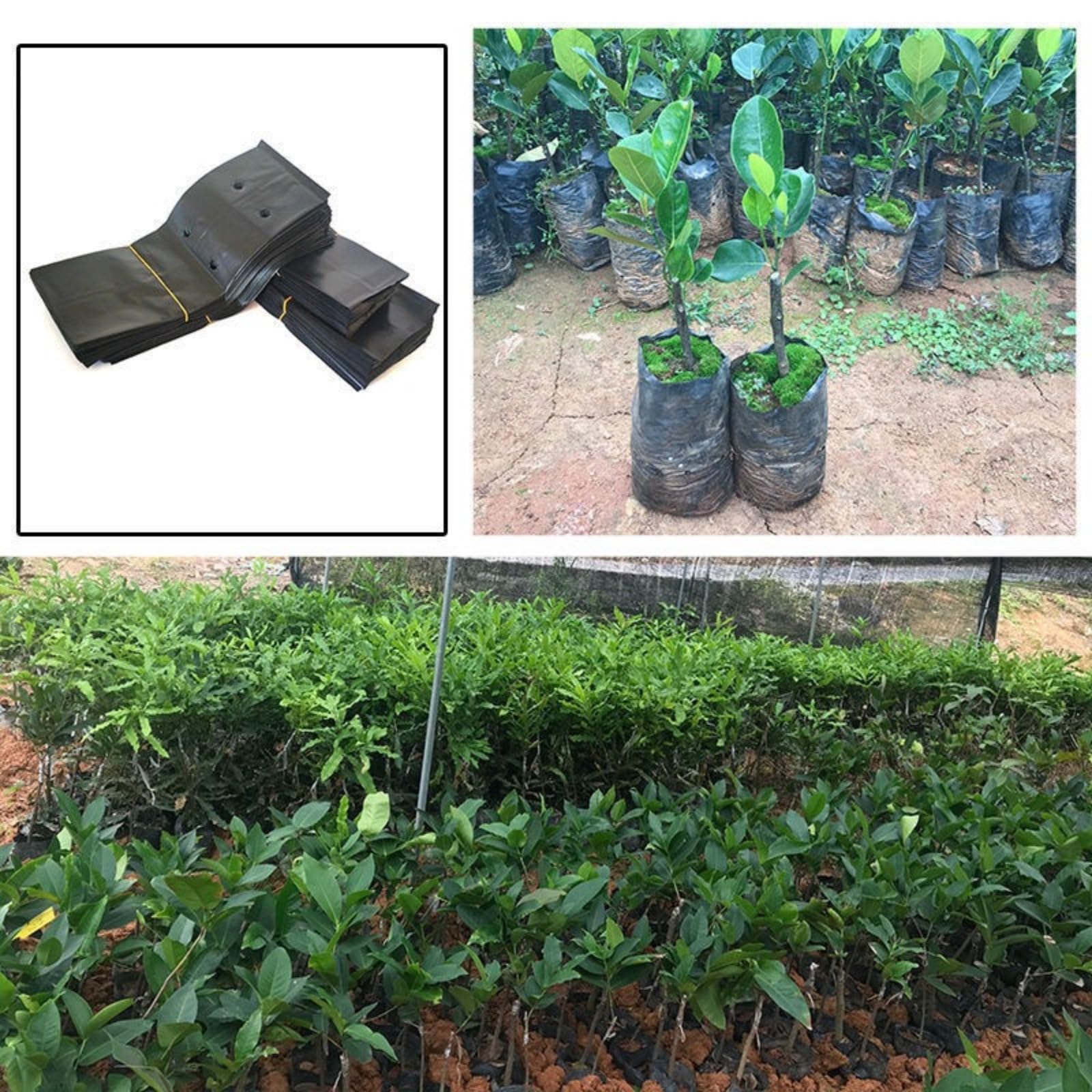 100 Bolsas De Cultivo De Plantas De Polietileno Negro | Varios Tamaños (17x25 Cm A 20x35 Cm) | Con Agujeros De Drenaje | Para Huerto Y Vivero