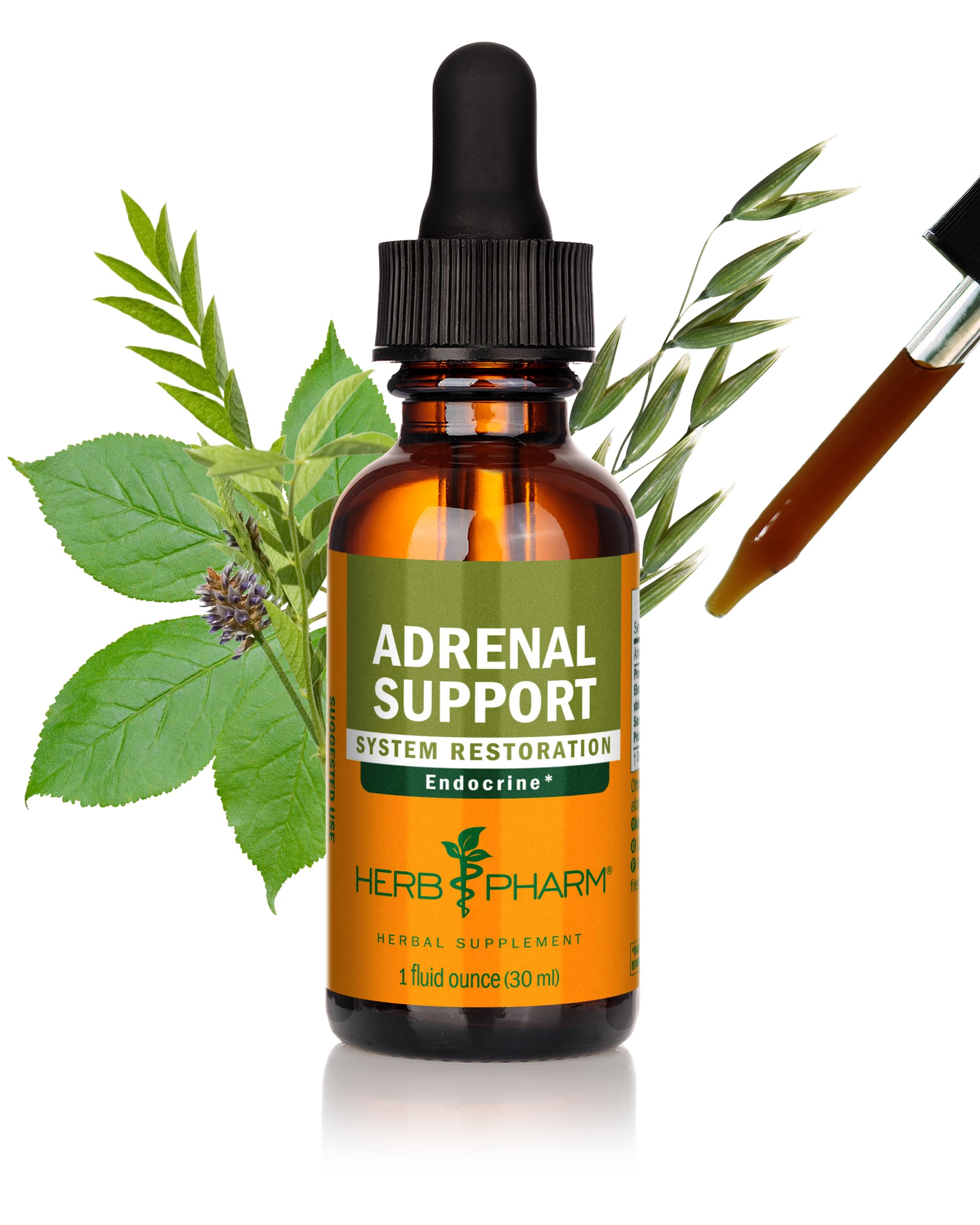 Adrenal Support Tonic Compound 1 Fl. Oz. 63978