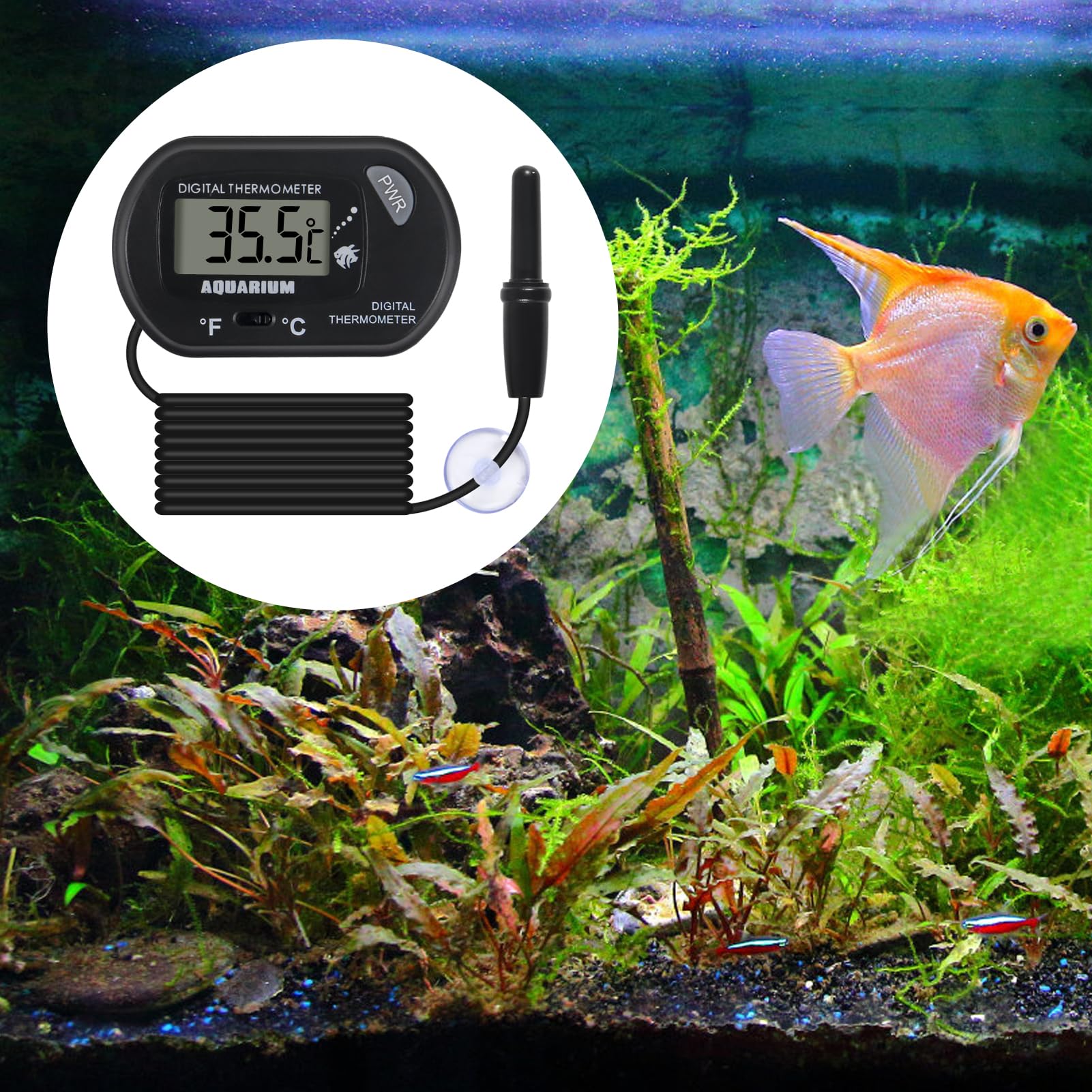 2 Stück Aquarium Digital Thermometer mit großem LCD Display Reptil Thermometer für Fahrzeug Terrarium Aquarium Kühlschrank