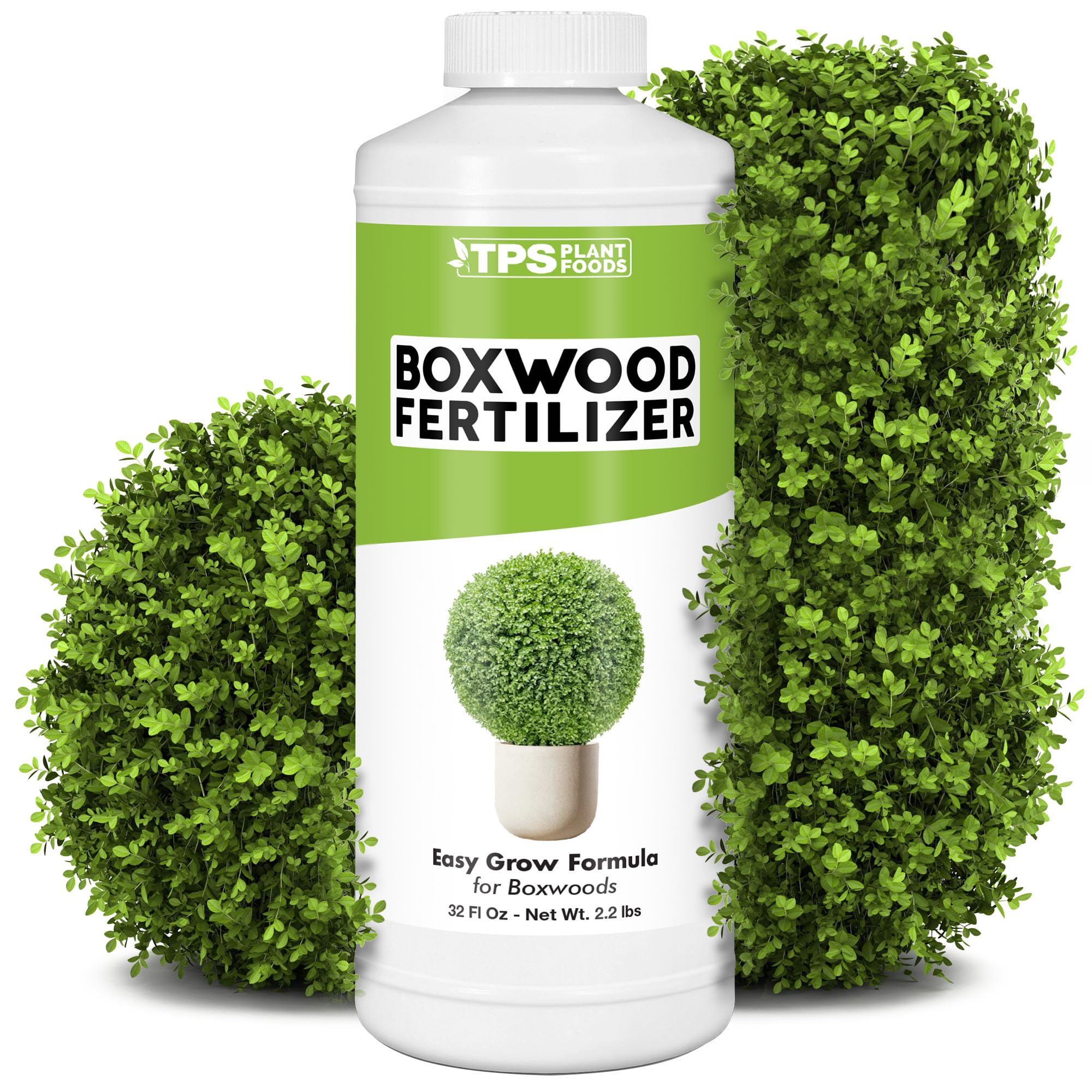 Boxwood Fertilizer Liquid 32 oz
