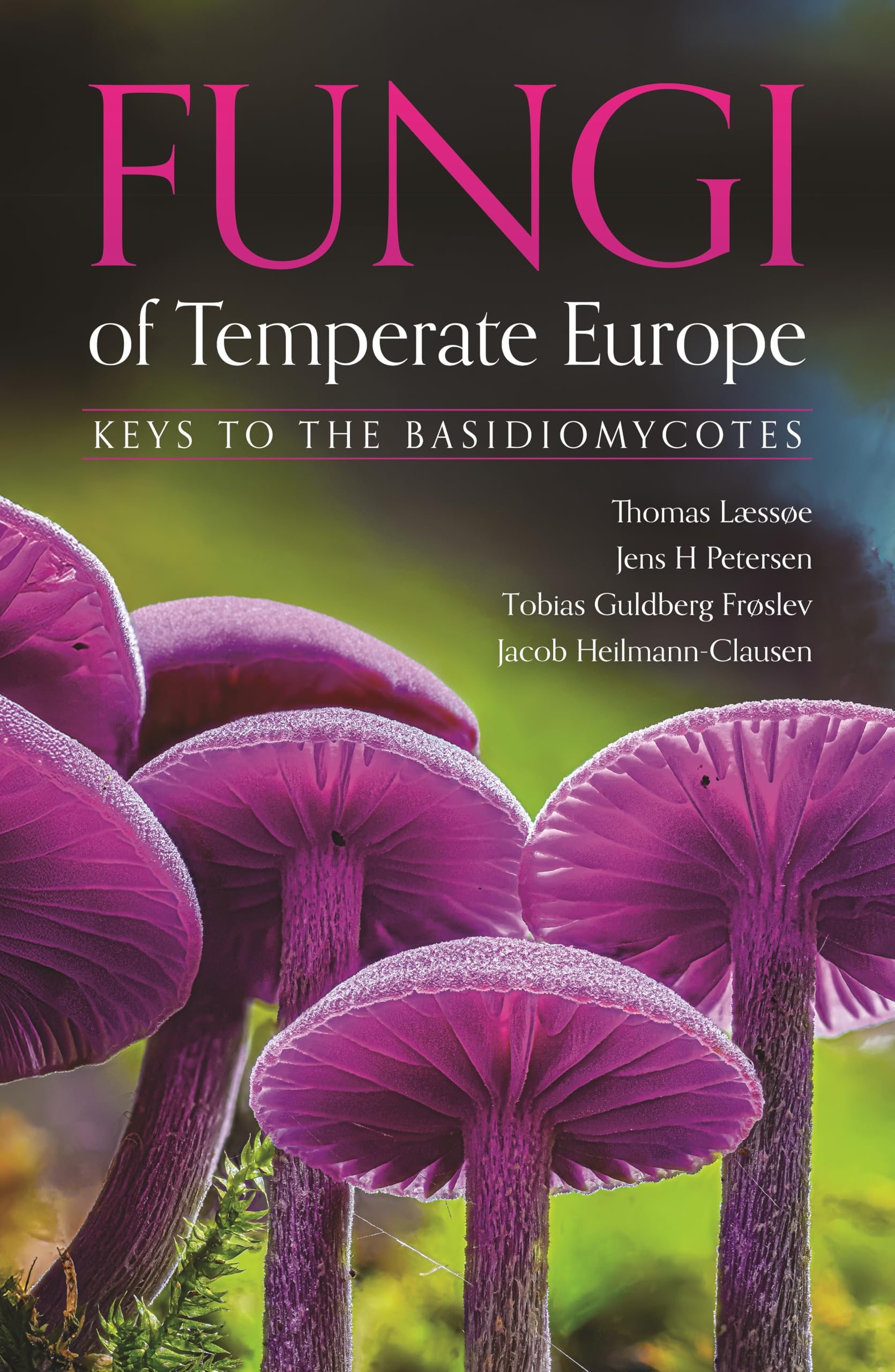 Fungi of Temperate Europe : Keys to the Basidiomycotes