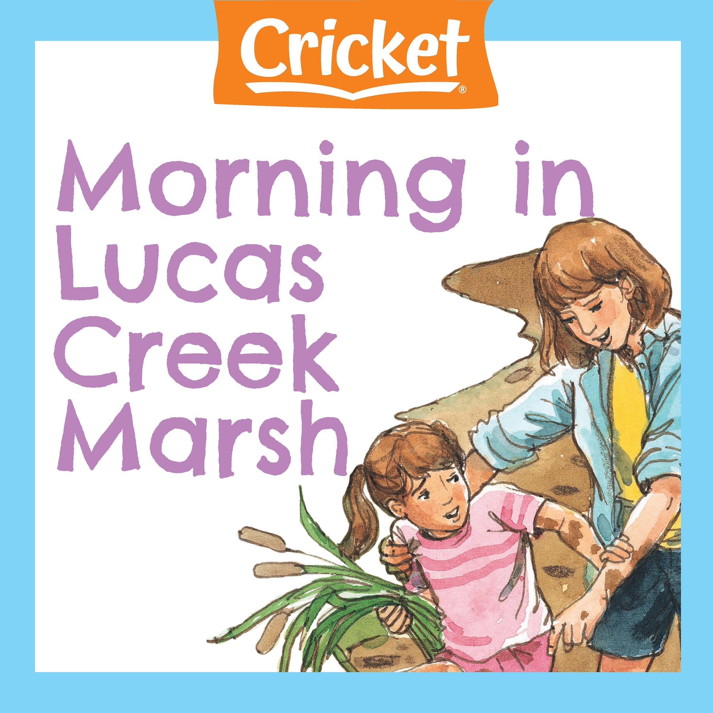 Morning in Lucas Creek Marsh