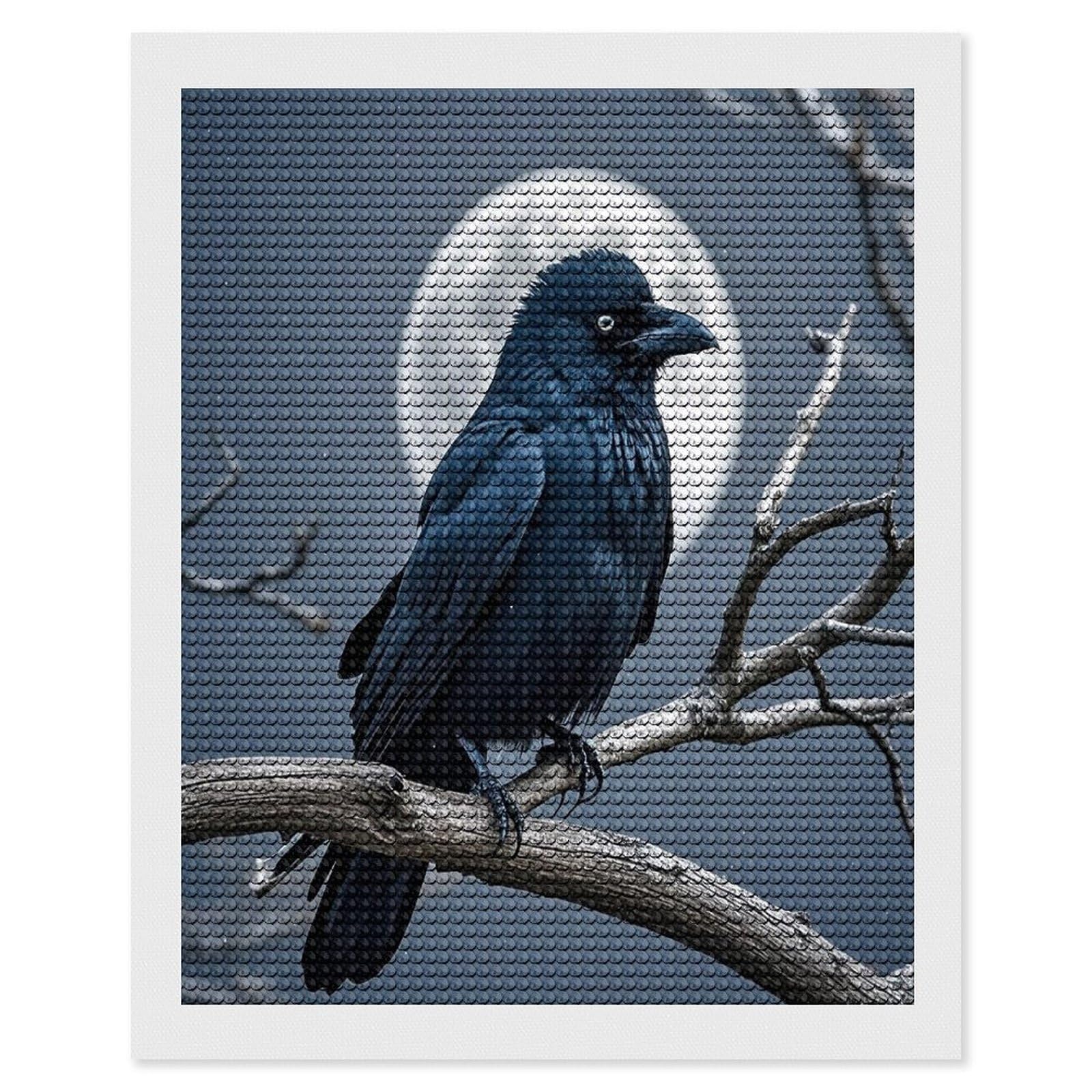 FekiLoot Night Crow Diamond Painting Kits for Adults Full Round Drill Diamond Art Kits for Beginners 5D DIY Diamond Dots Paintings Diamonds Pictures Gem Art Home Wall Decor 16"x20"
