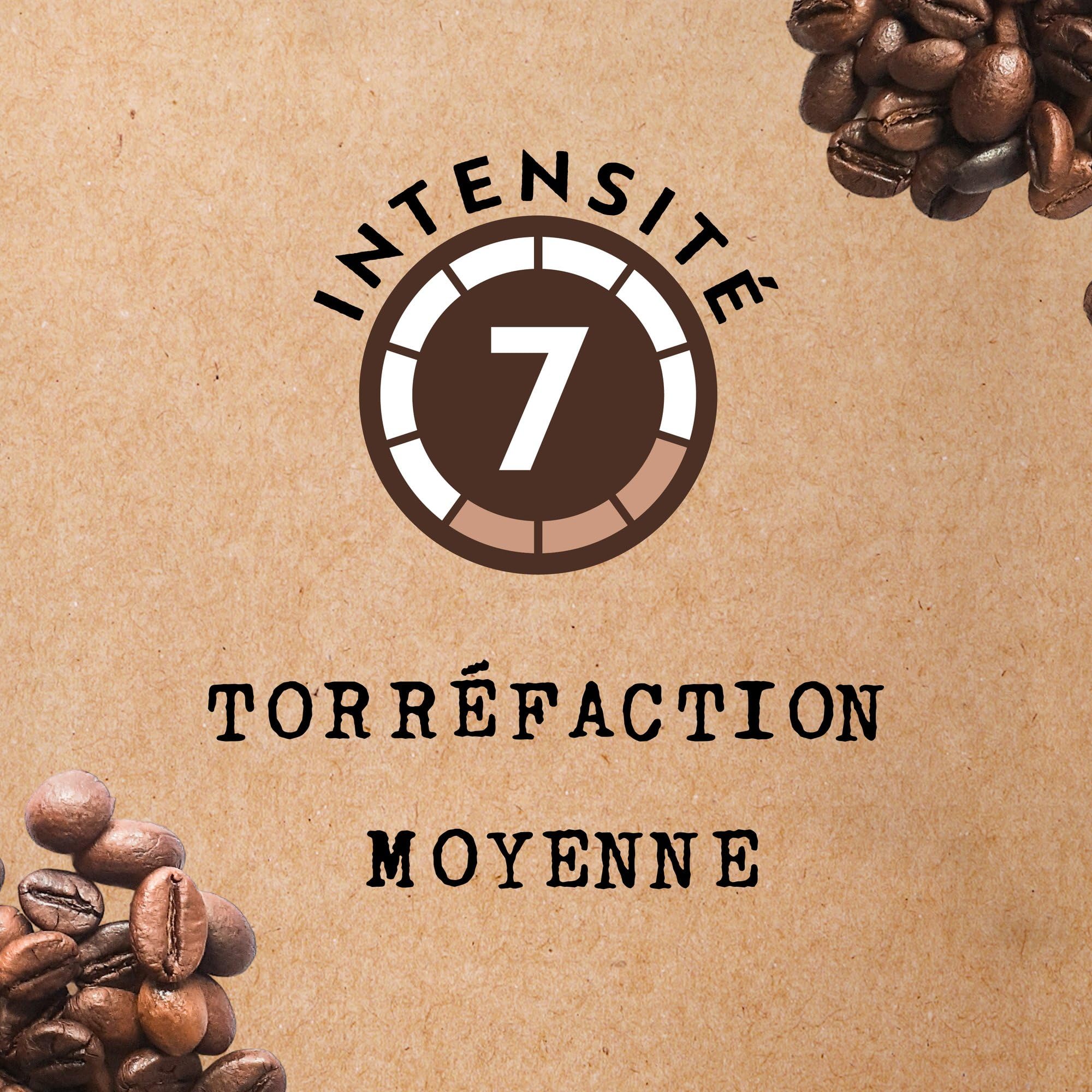 Cafés Méo - Café en Grains Biologique Original Pur Arabica - 3 kg - Intensité 7/10 - Arômes Authentiques, Riche et Fruité - Agriculture Biologique - Lot de 6 x 500 gr