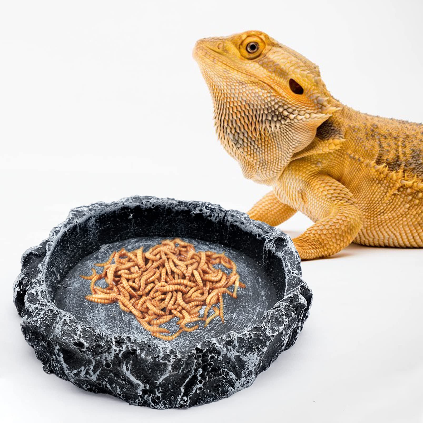2 Pièces Bols à Eau pour Reptiles, Mangeoire pour Tortue, Bac à Eau en Résine pour Gecko Lézard Caméléon Serpent