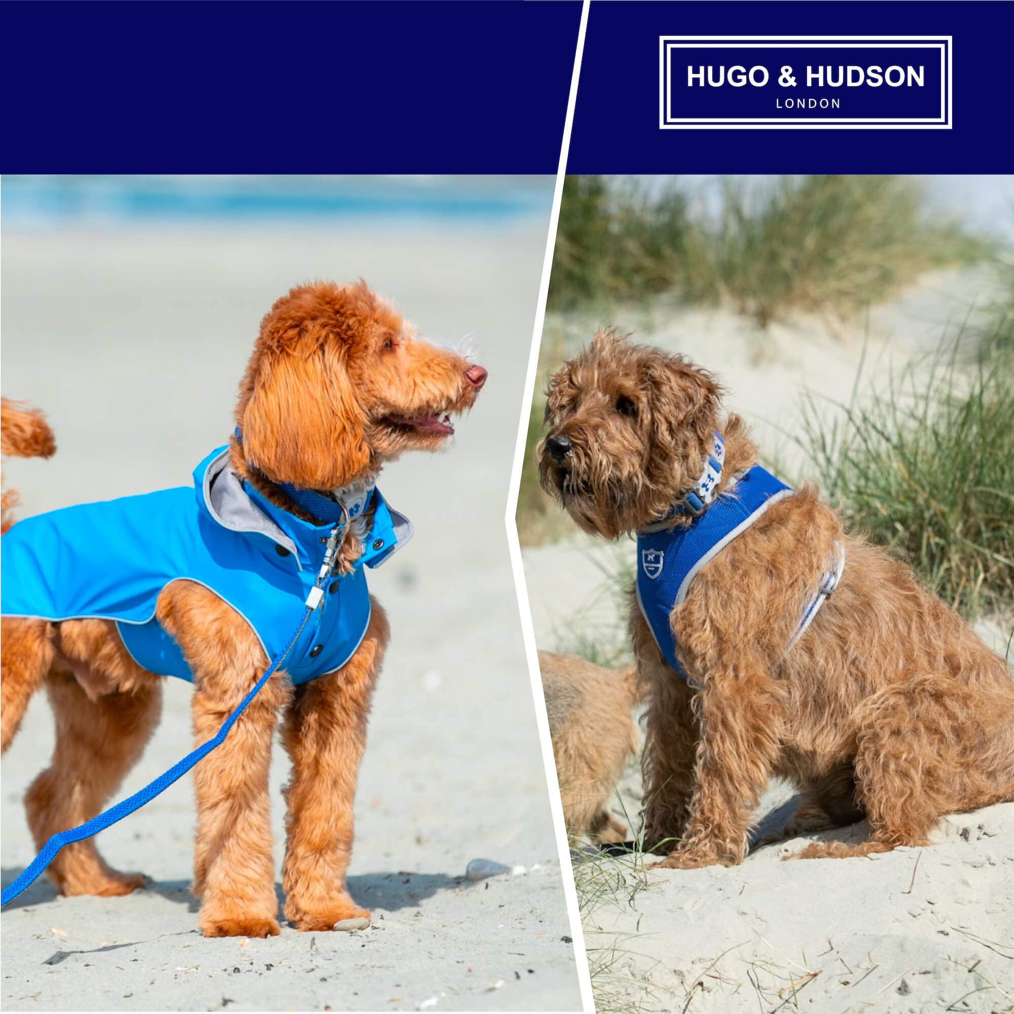 HUGO & HUDSON Dog Collar with Quick Release Safety Buckle and Quick Dry Mesh Fabric, Royal Blue, XS - Image 4