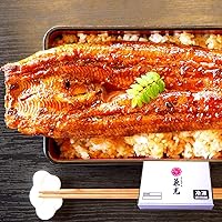 うなぎの兼光 国産 愛知県産 うなぎ 無頭 蒲焼 特大 サイズ 175g以上 1kg(5尾～6尾) タレ・山椒付き
