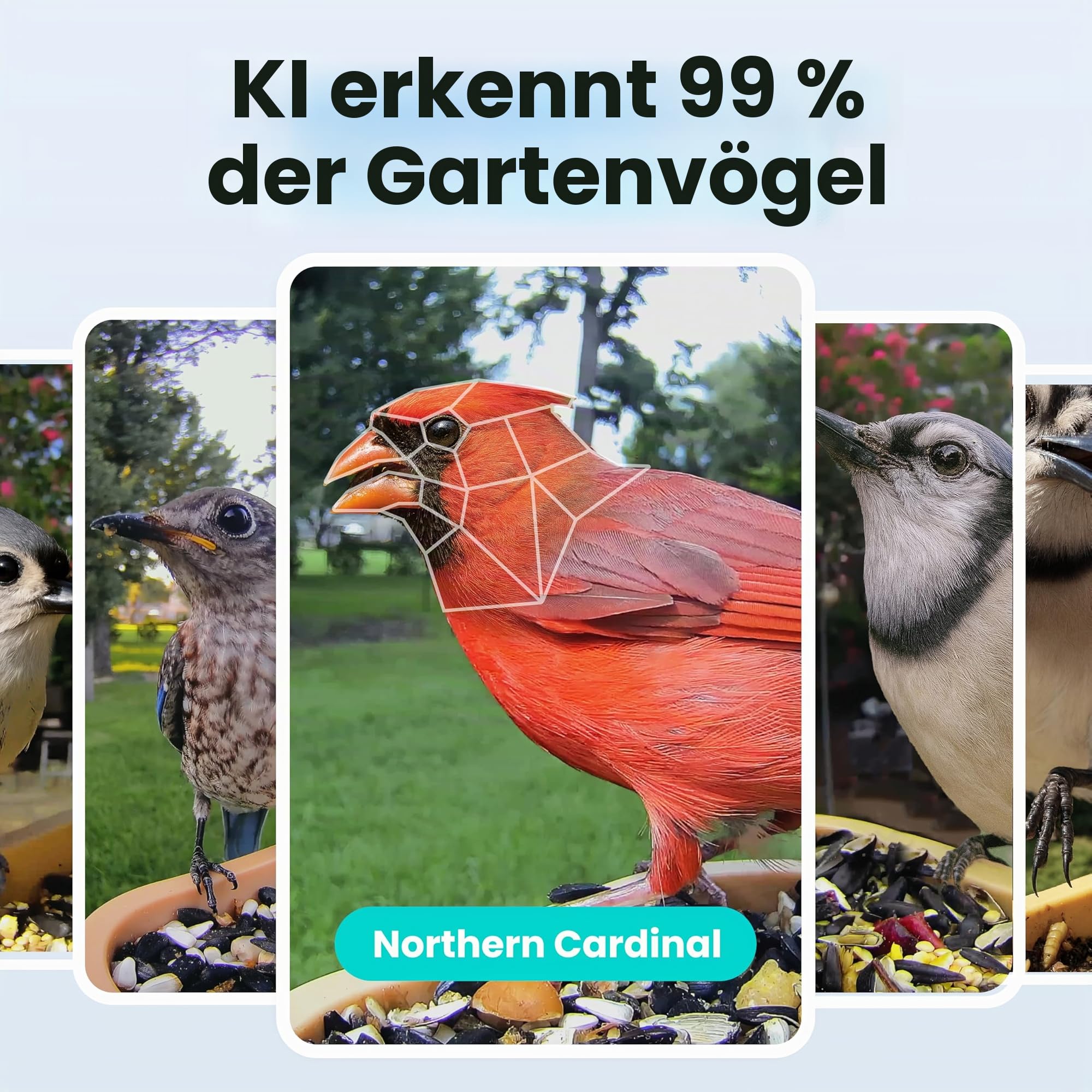 Birdfy Smart Vogelfutterhaus mit Kamera für Anfänger, Vogelfutterspender mit Nachtsicht, KI Vogelerkennung kostenlos, IP66 Wasserdicht für Vogelliebhaber