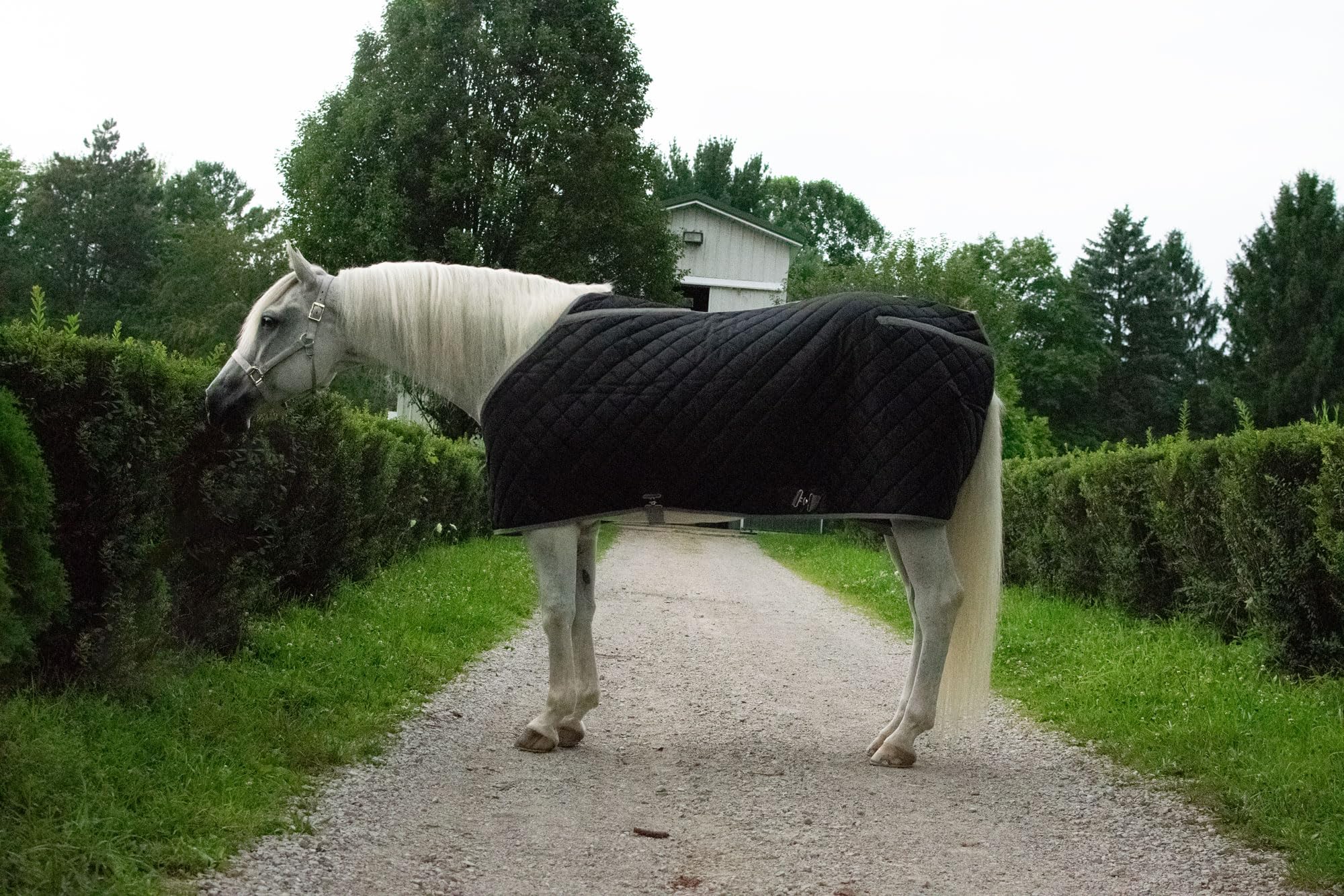 TUFFRIDER SHELTER Closed Front Medium Weight Horse Stable Blanket, Black/Grey, 84-in