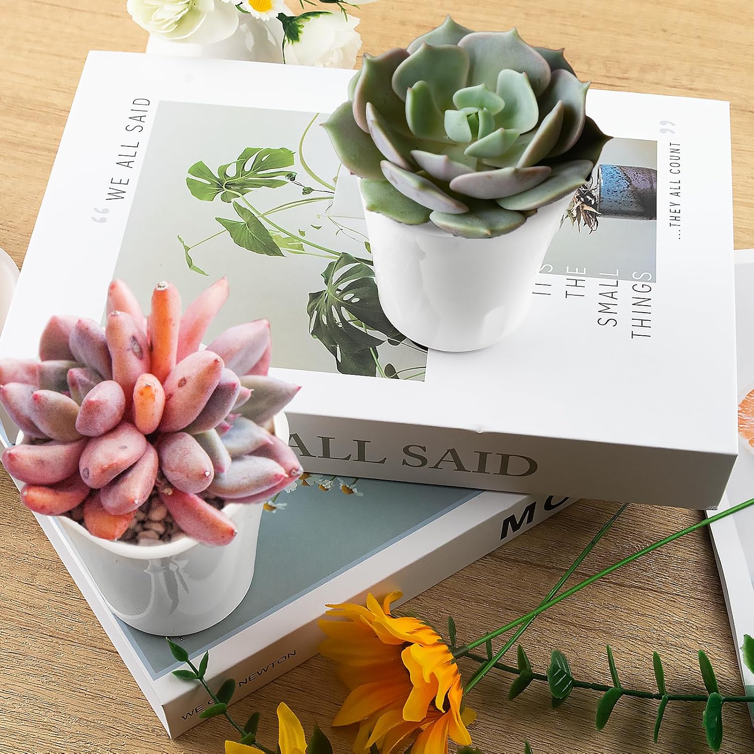 24 Pcs Self Watering Pots for Indoor Plants, 3 Inch White Plastic Self Watering Planters with Water Level Indicator - Perfect for Succulents