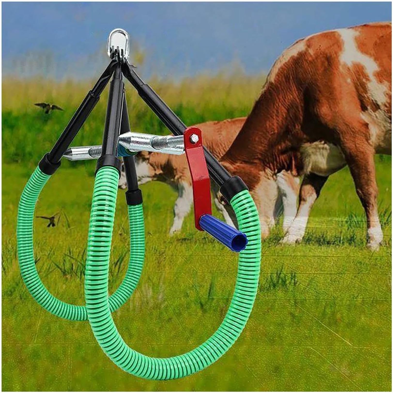 Sollevamento dell'anca della mucca, morsetto regolabile dell'anca, in acciaio inossidabile Stand Up Assist per la mungitura parto zoppo, Dairy Farm Bestiame Helper Dystocia