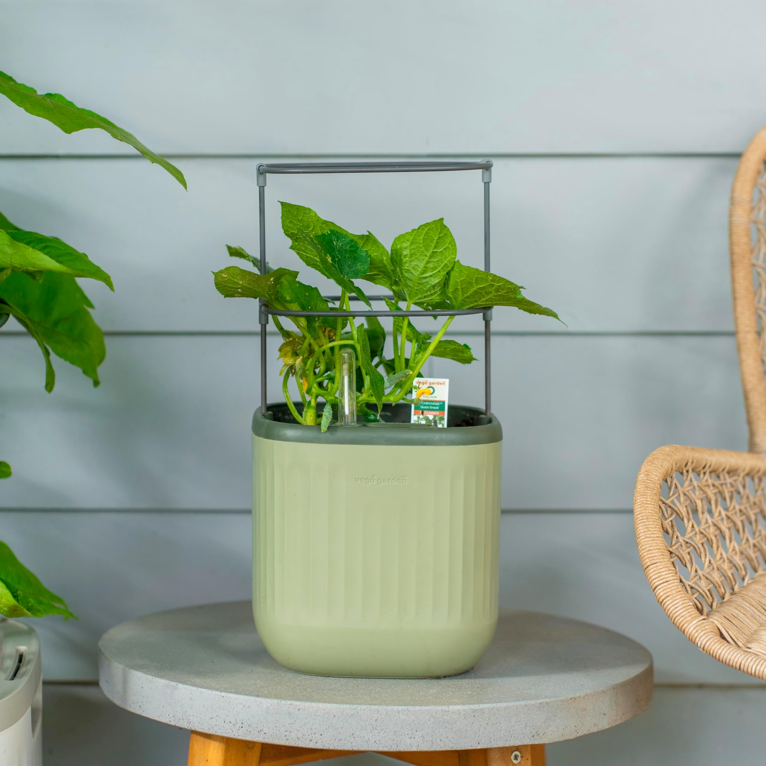 Mini Planter Indoor Pots with Trellis Self-Watering Herb Countertop Planter for Climbing Vegetables Flowers Mint Plants Cage- Sage Green