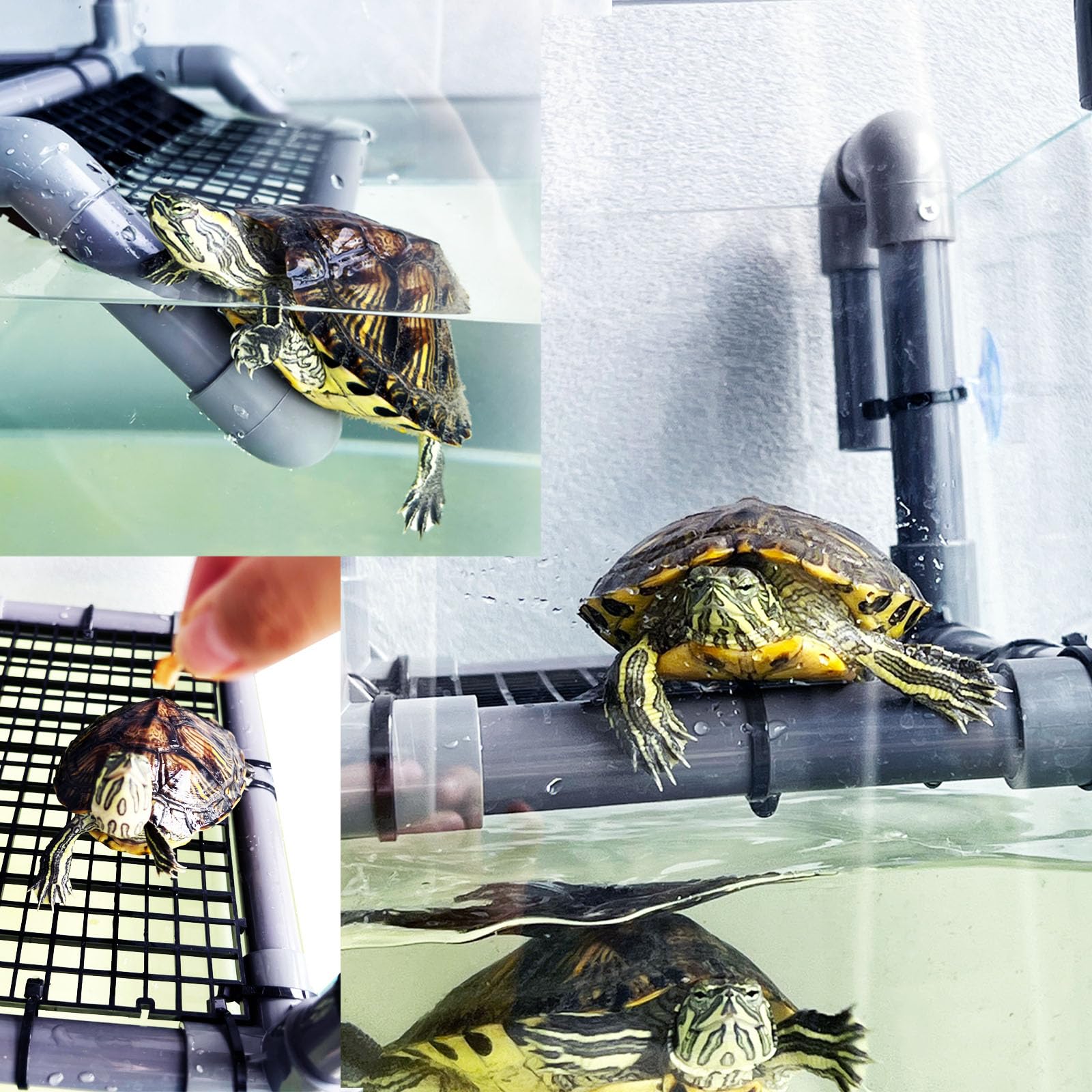 Piattaforma sospesa per tartarughe acquatiche per acquari larghi da 45 a 48 cm, accessori per rampe tortuga con orecchie rosse, area di crogiolamento delle tartarughe acquatiche da appendere