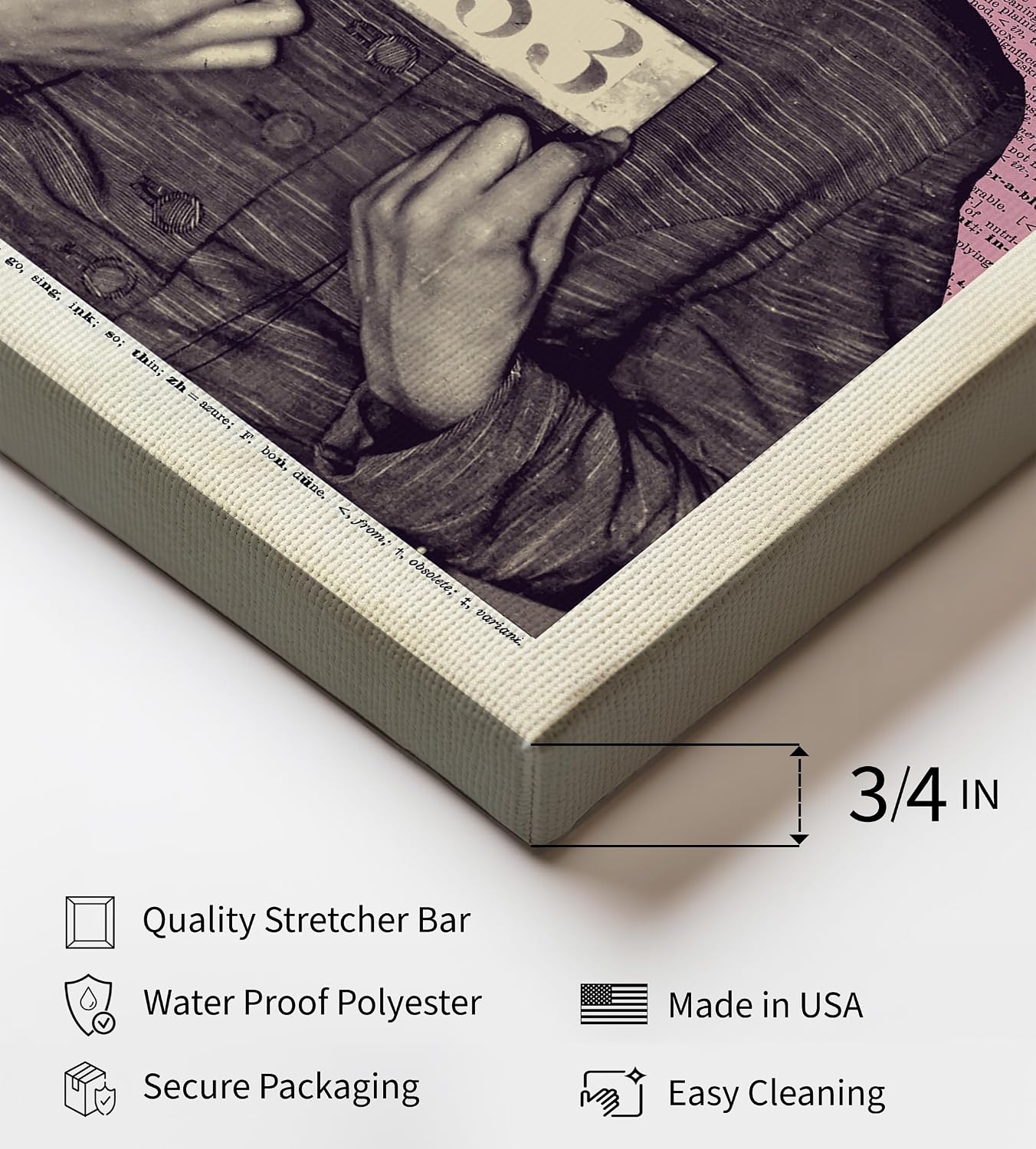 Poster Master First Lady of Civil Rights Canvas - Retro Parks Mugshot Print - Dictionary Art - American Activist Wall Design - Great Bedroom or Living Room Wall Decor - 8x10 STRETCHED Canvas