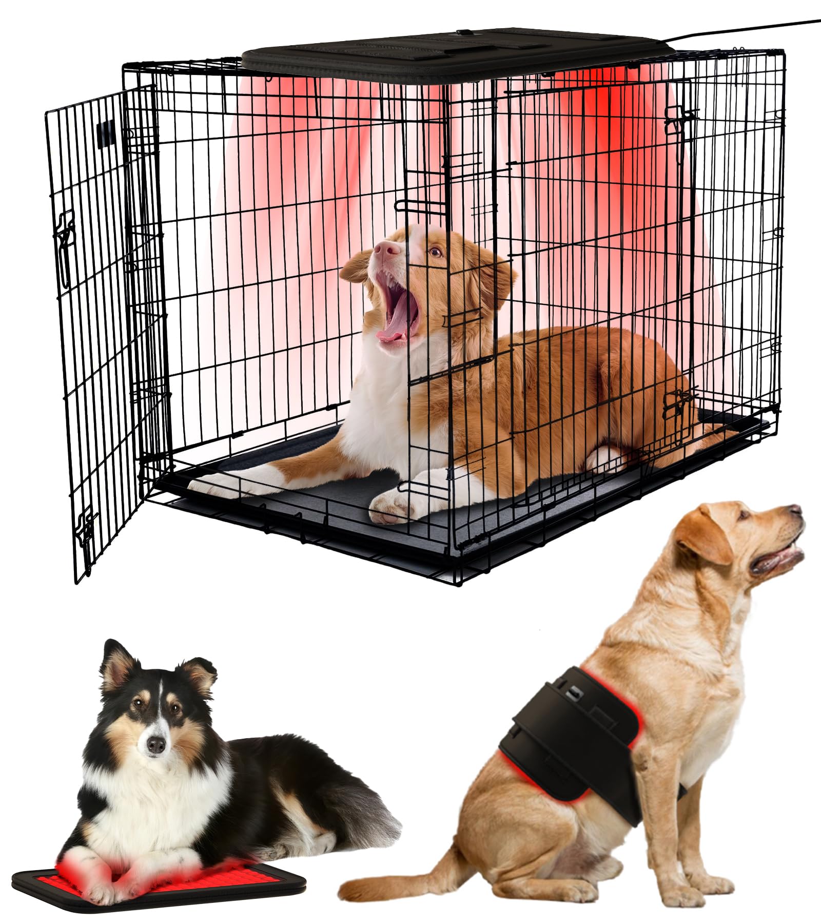 iKeener Cold Laser Therapy Device for Dogs and Humans,Red Light Therapy