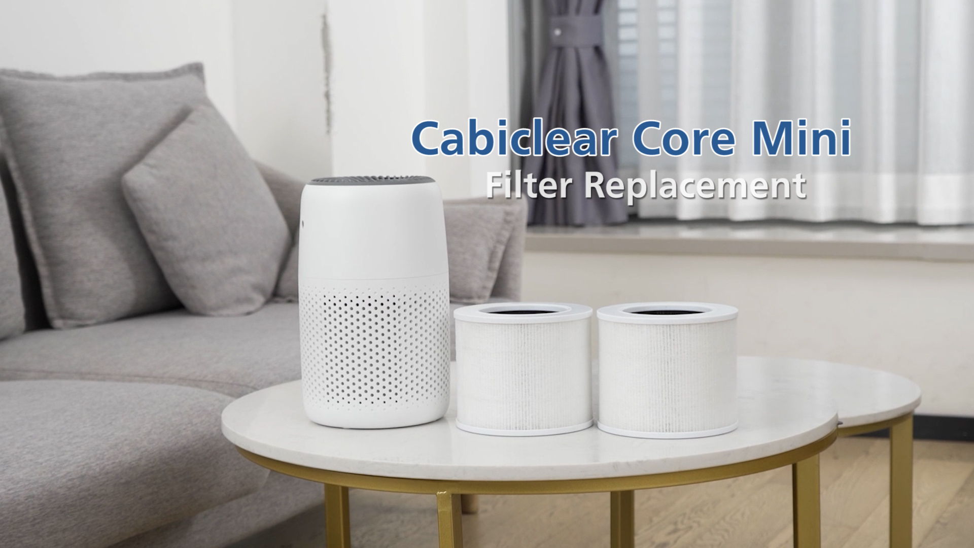 Amazon.com: Core Mini Replacement Filter Compatible with LEVOIT