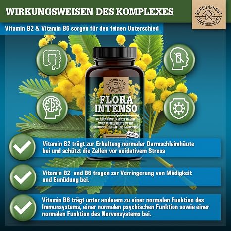 Probiotics scientifically tuned 23 bacterial strains high dose 10 billion CFU per capsule gastric juice resistant and vegan with lactobacillus and bifidobacteria DE SCHEUNENGUT