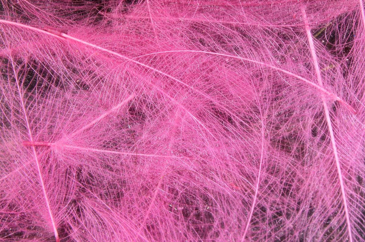 Hareline Fly Tying Cul de Canard (CDC) – Natural CDC Feathers for Fly Tying Dry Flies, Emergers & Comparaduns (Lt Pink)