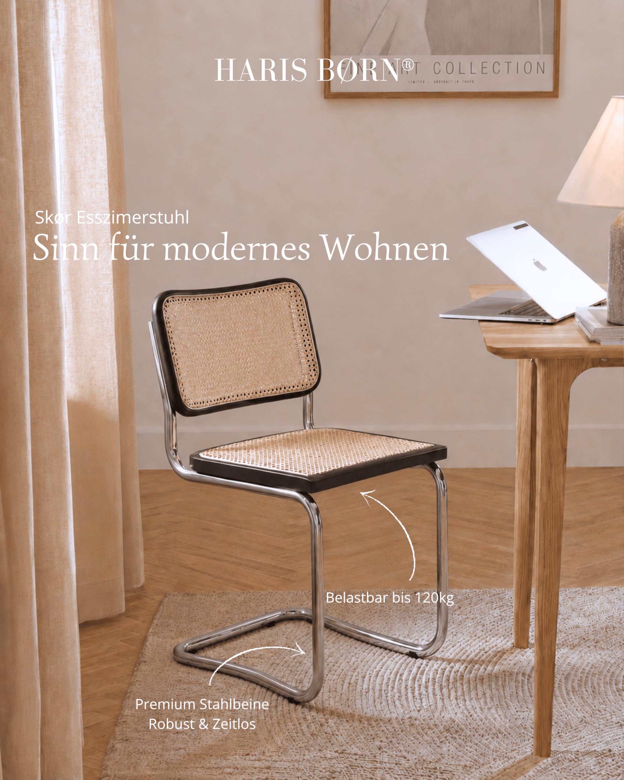 Haris Børn® Design Freischwinger Wiener Geflecht (2er Set) Schwarz – Handgefertigt in Italien - Hochwertige Rattan Stühle - Freischwinger Stühle in Rattan Stuhl Optik - 30 Tage risikofrei testen