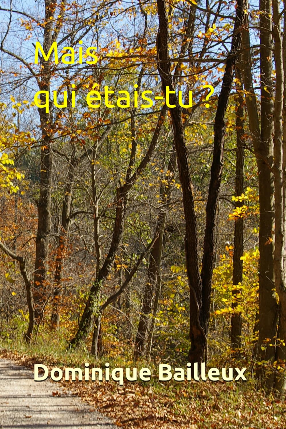 Mais qui étais-tu ? (les enquêtes du Commissaire Michaux)