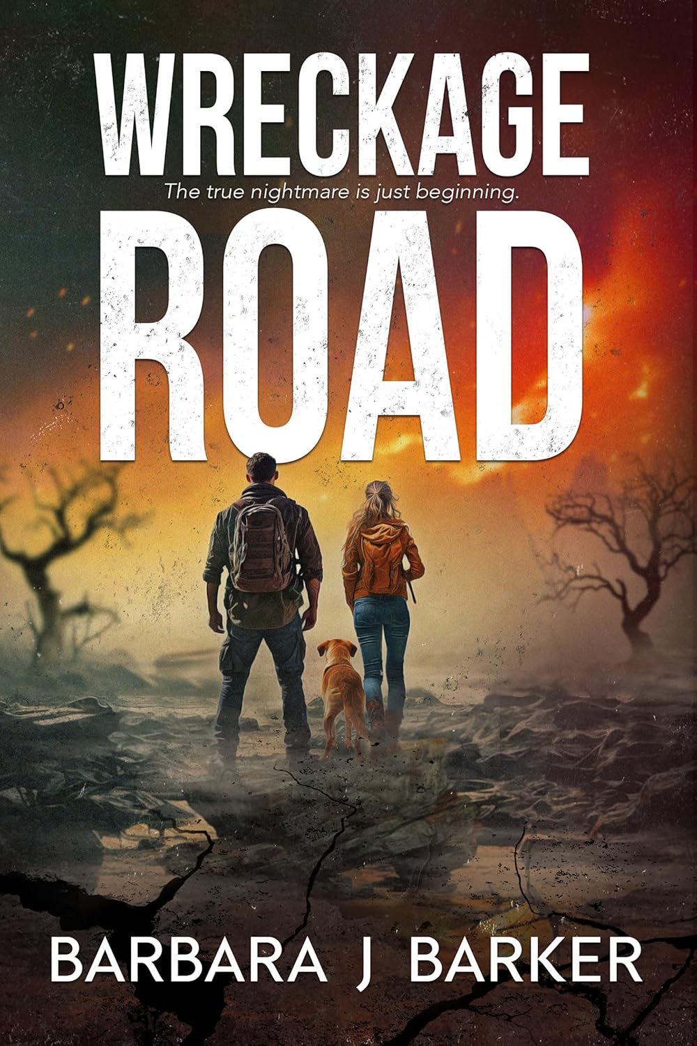 Product image of WRECKAGE ROAD: AN APOCALYPTIC THRILLER! (THE WRECKAGE SERIES Book 1)