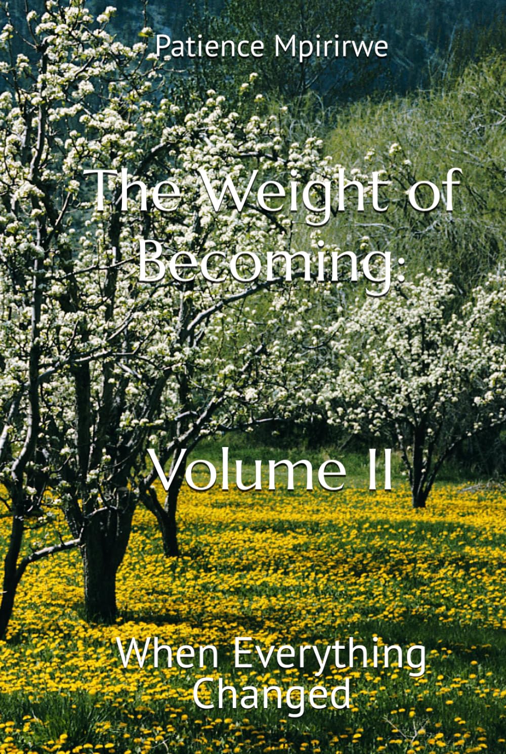 The Weight of Becoming: Volume II: When Everything Changed