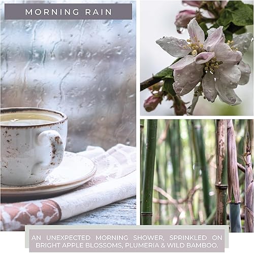 Miniatura 3 de A Cheerful Giver - Morning Rain - Tarro de vela perfumada de Papa de 34 onzas con tapa - Keepers of The Light - 155 horas de tiempo de combustión,