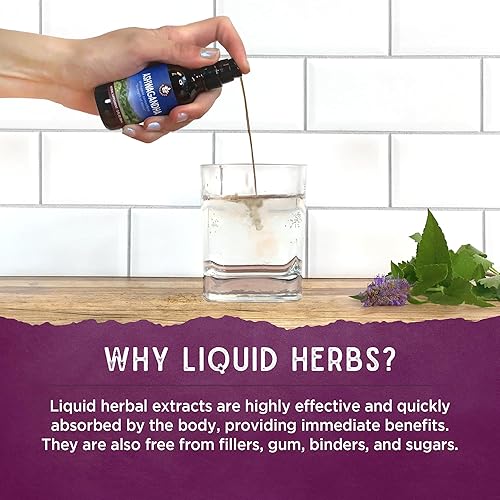 Miniatura 5 de WishGarden Herbs Clear Complexion Blemish Buster - Suplemento para el acné a base de plantas con caléndula, bardana y diente de león que apoya la