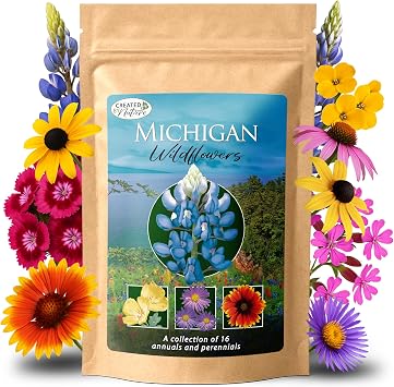 Michigan Wildflower Seed Mix Over 40,000 Flower Seeds, Covers 300 Sq Ft | 16 Colorful Annual and Perennial Wildflower Varieties for Michigan Gardens, Attracts Bees, Butterflies and Other Pollinators