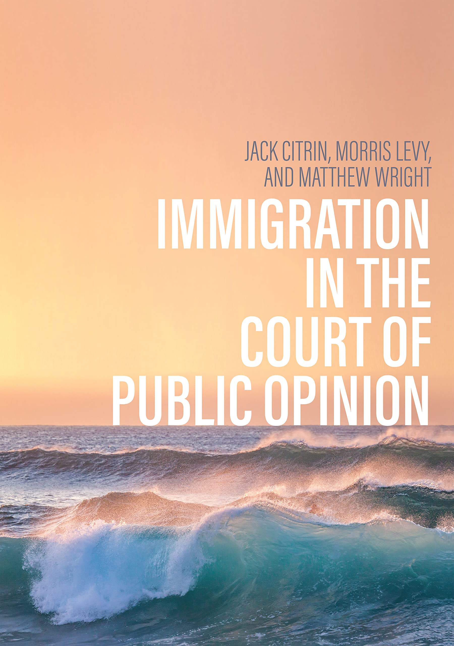 Polity Immigration in the Court of Public Opinion