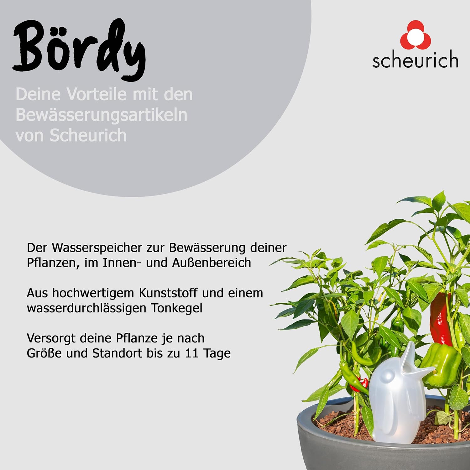 Scheurich 52888 0 XL 087/14 Bordy Watering System - White/Champagne Pearl