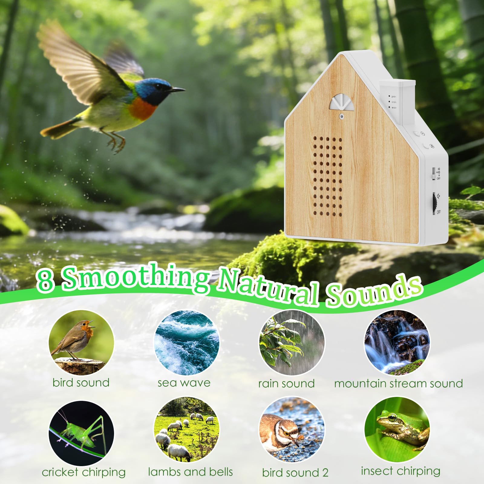 Sound Box Naturale, Canto Uccelli Musicale con Sensore di Movimento,Luci Notturna, 8 Branzi Relax, Regolazione Volume 0-115dB, 3 Timer Impostazioni, Creare SPA Forestale in Casa