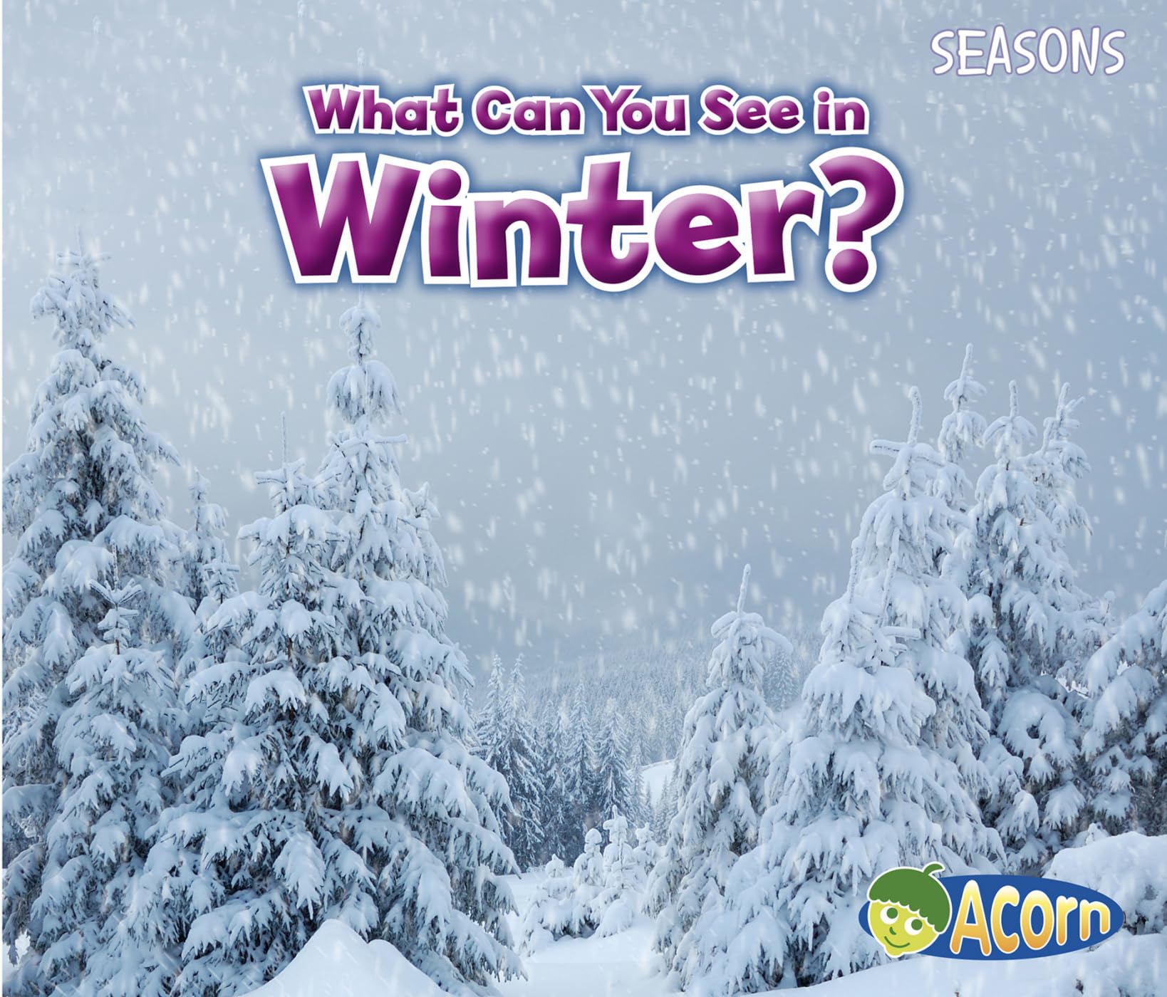 What Can You See in Winter? (Seasons)
