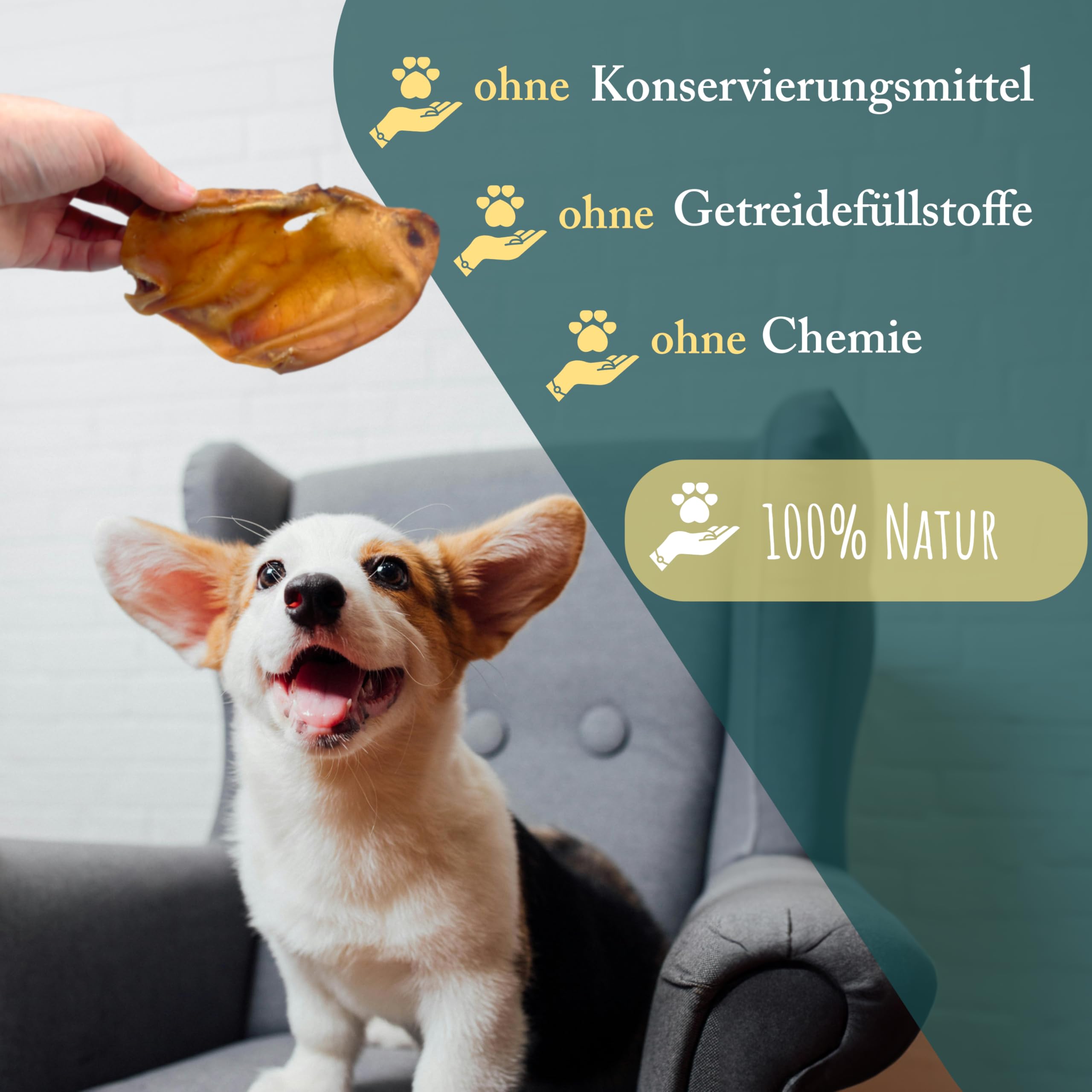 Orecchie di maiale per cani, 25 pezzi, 100% naturali, orecchie di maiale secche, orecchie di maiale