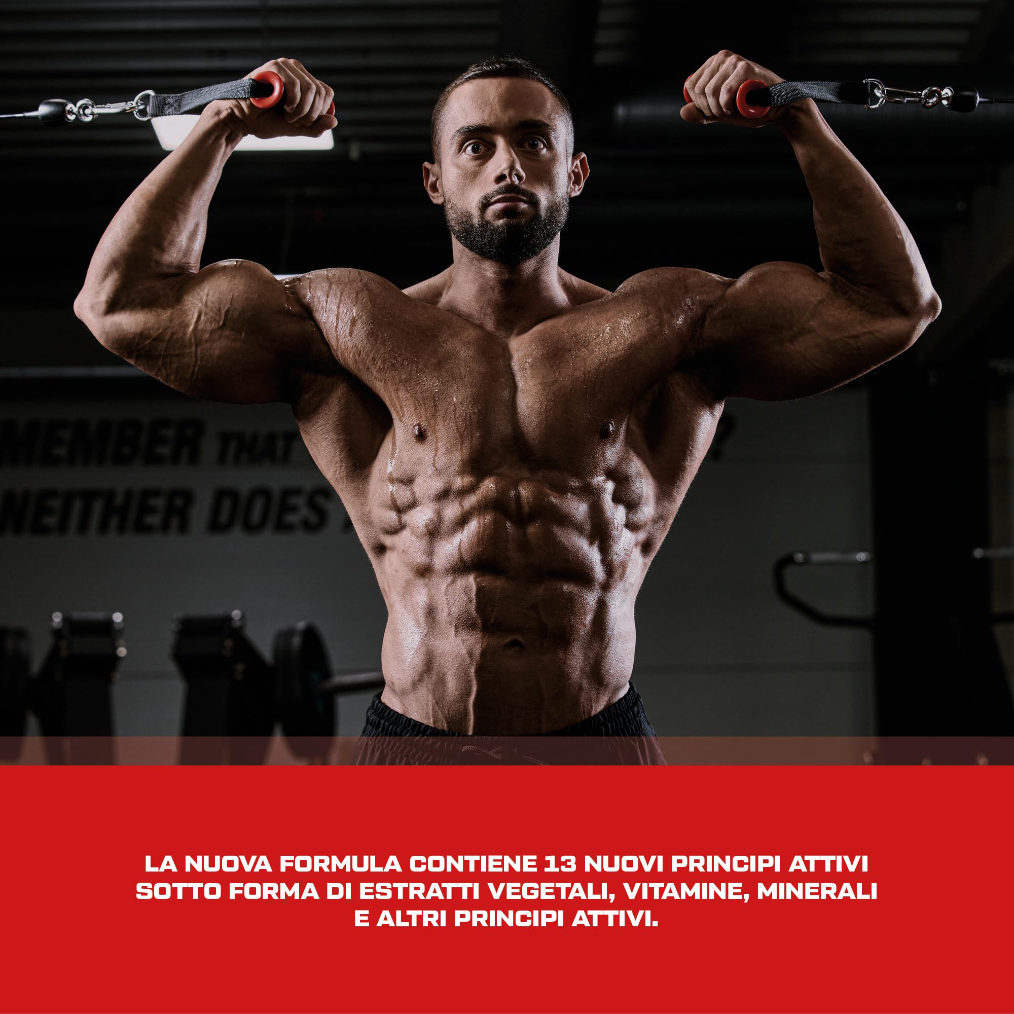 Scitec Nutrition Revex HC | L-carnitina | HCA | CLA | Aminoacidi | Estratti vegetali | Vitamine e minerali | con caffeina, 120 Mega Capsule