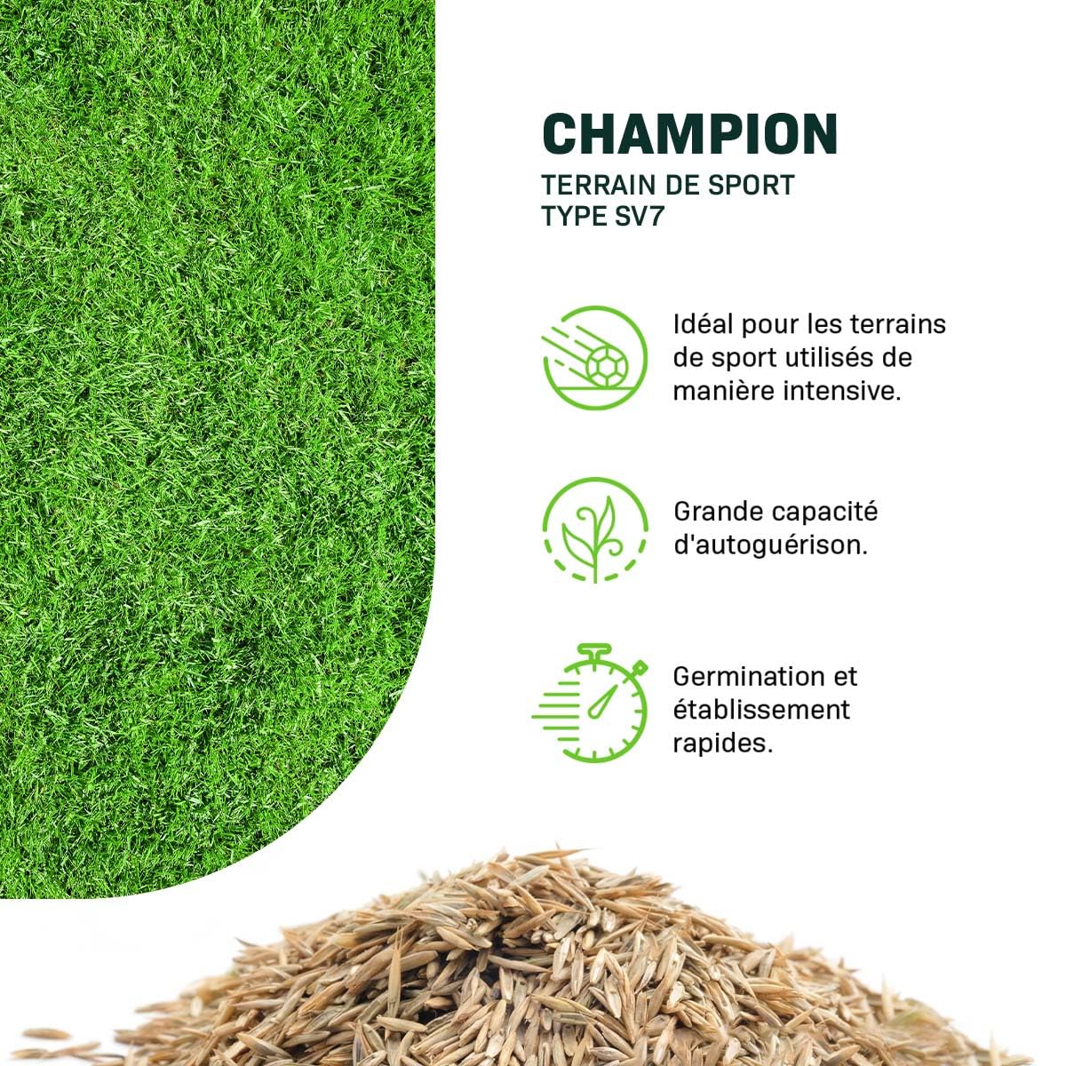 MRS Champion : Semences de gazon sport - 15 kg pour 750 m² - Gazon résistant pour sport et usage intensif - Croissance rapide et faible entretien - Adapté à tous types de sols