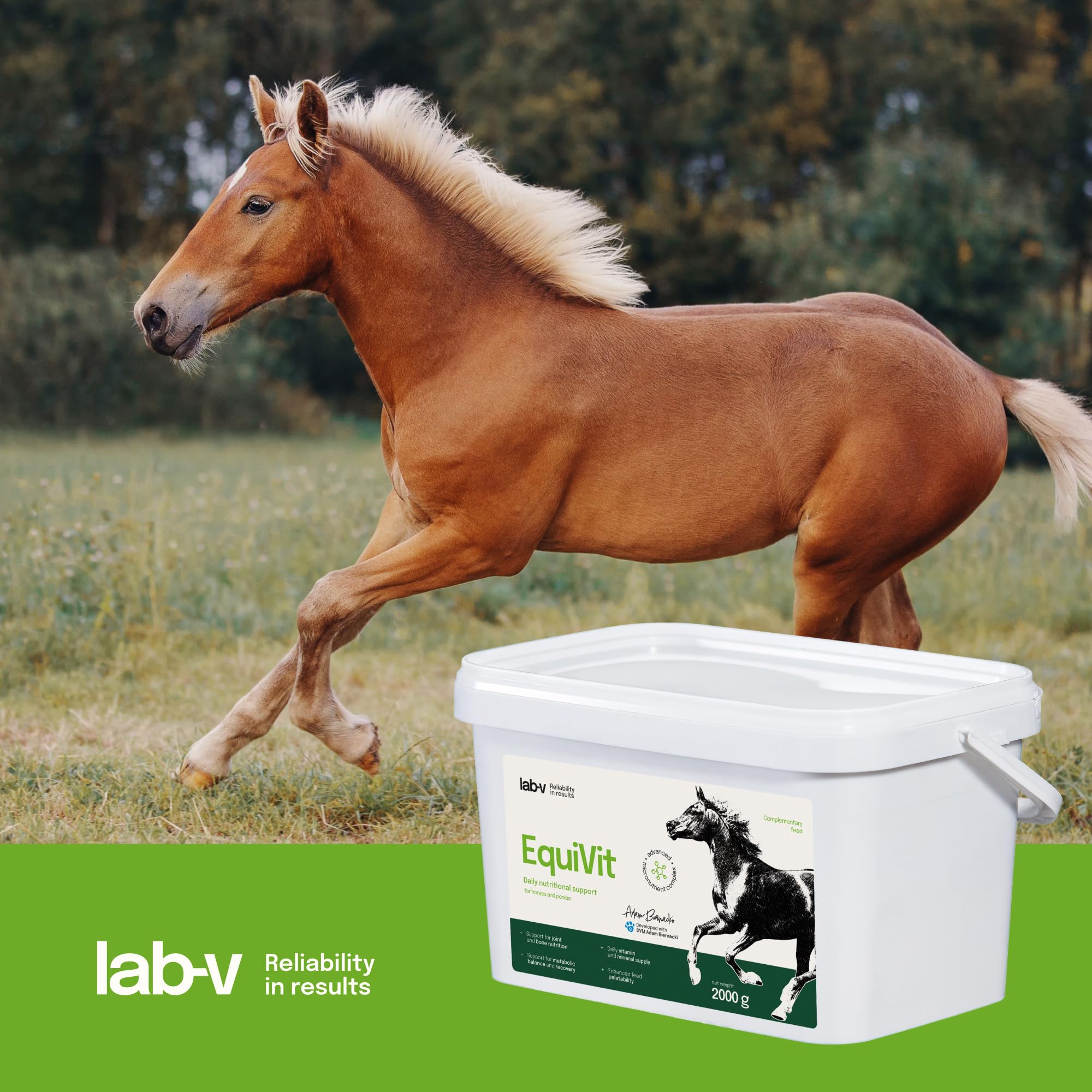 Lab-v EquiVit 2 kg – Complemento alimenticio dietético para caballos – Complejo de vitaminas y minerales para complementar la alimentación diaria