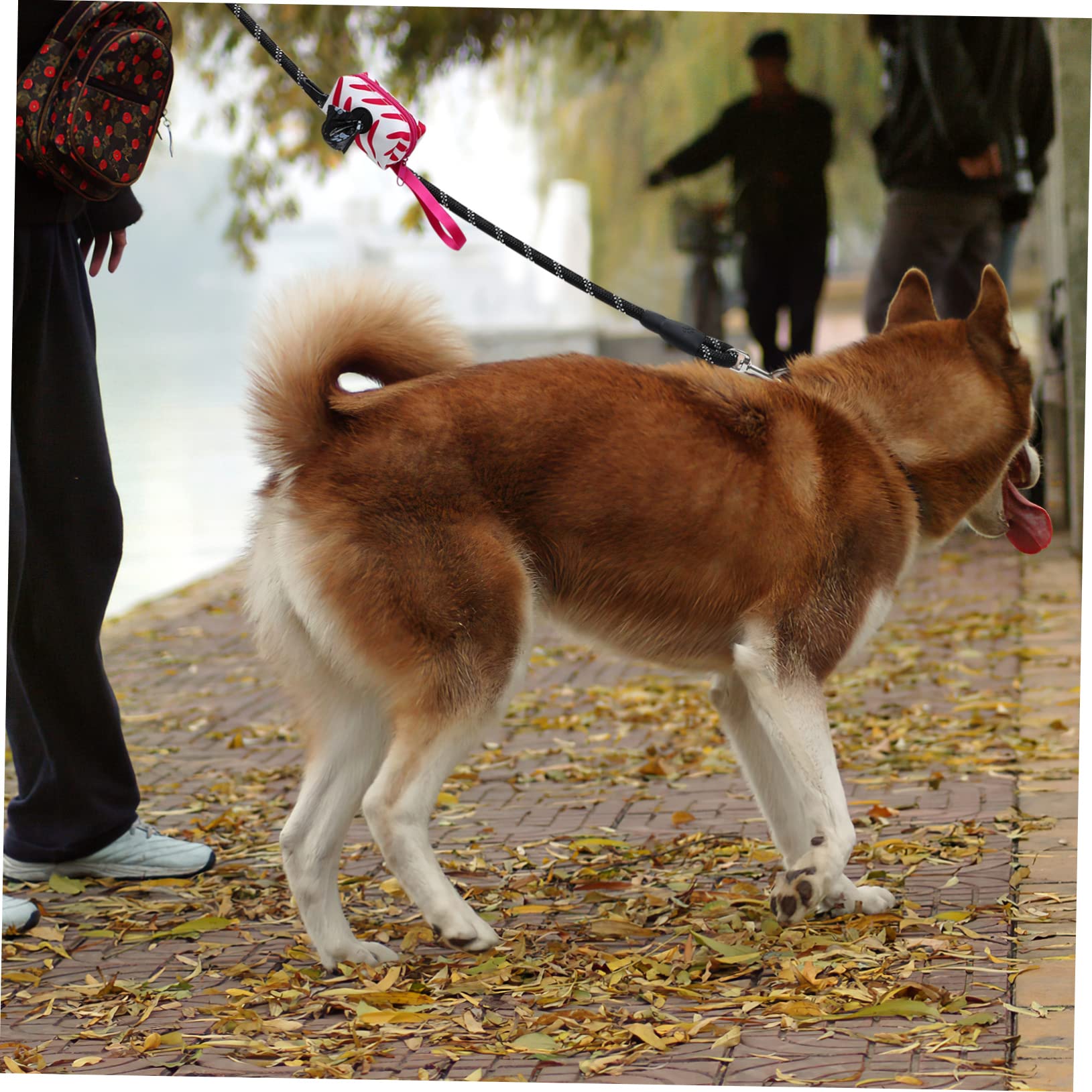 1 Satz Nylon-hundeleine Für Draußen Dicke Leine Mit Halter Für Hundekotbeutel Robust Für Kleine Und Mittelgroße Hunde