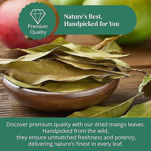 Miniatura 2 de Akshit Hojas secas de mango, hojas secas, hojas de mango secas, té de hojas naturales, sin aditivos, sin cafeína, sin OMG. 5.2 oz