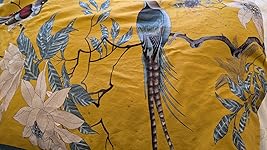 Review Image by Susan Susan