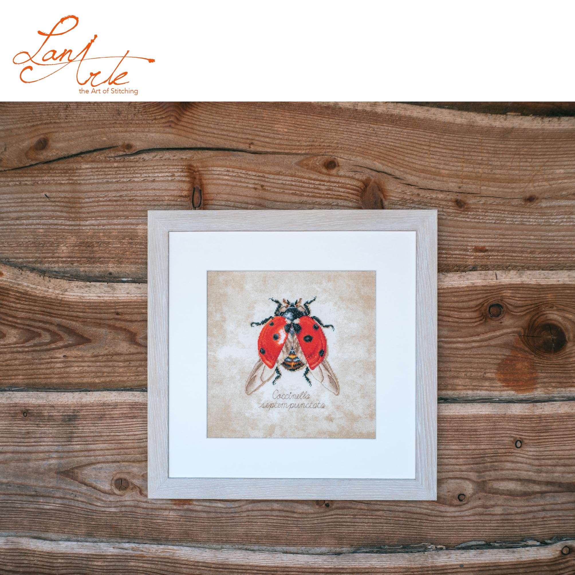 LANARTE Haft Krzyżykowy Liczony Zestaw Obraz do Haftu COCCINELLA SEPTEMPUNCTATA Zrób to Sam Zestaw Kreatywny dla Dorosłych Rękodzieło Artystyczne 21 x 21 cm Dekoracja Ścienna DIY Cross Stitch Kit