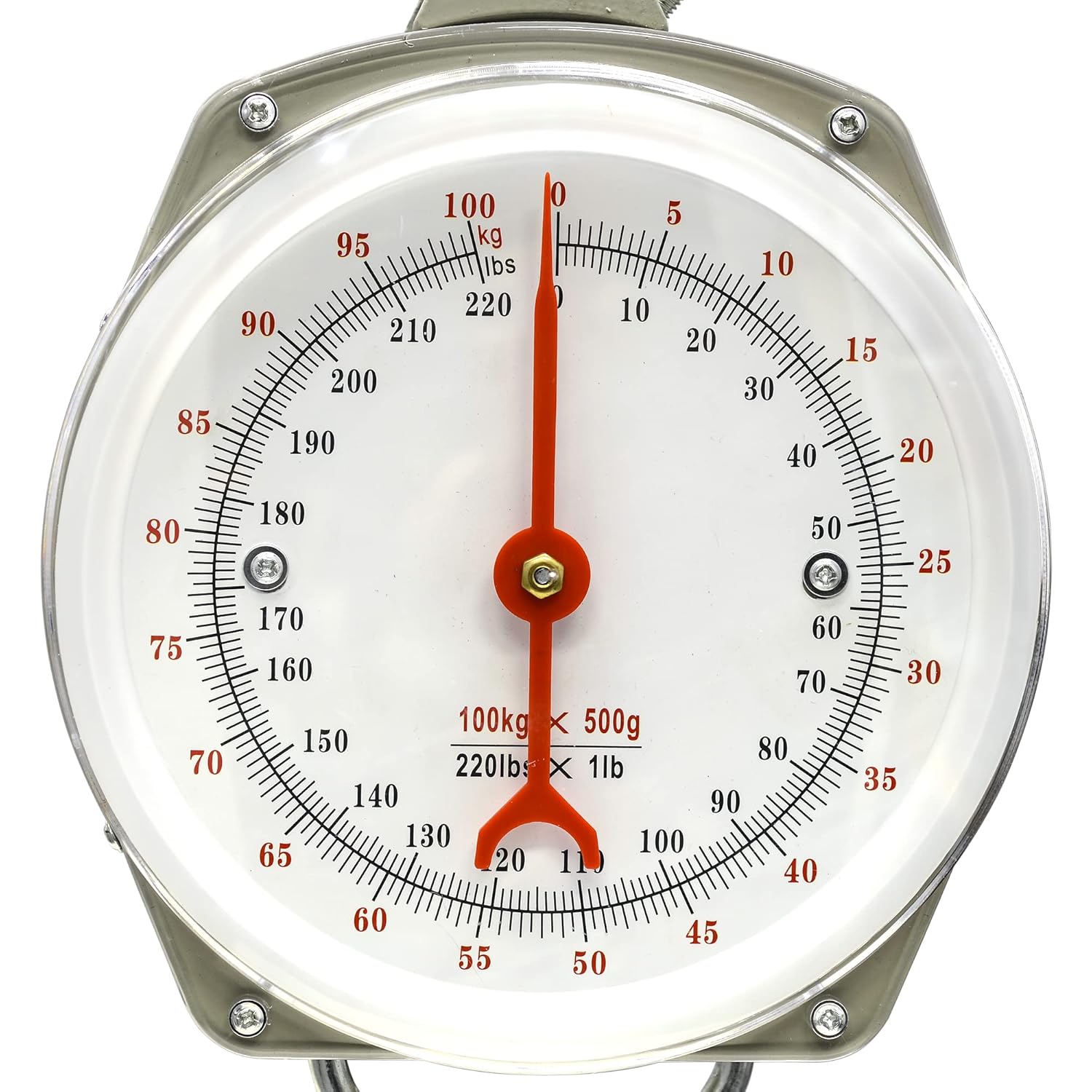 Amazon.com: Big Game Hanging Spring Dial Scale - 220lb/100kg, Easy to ...