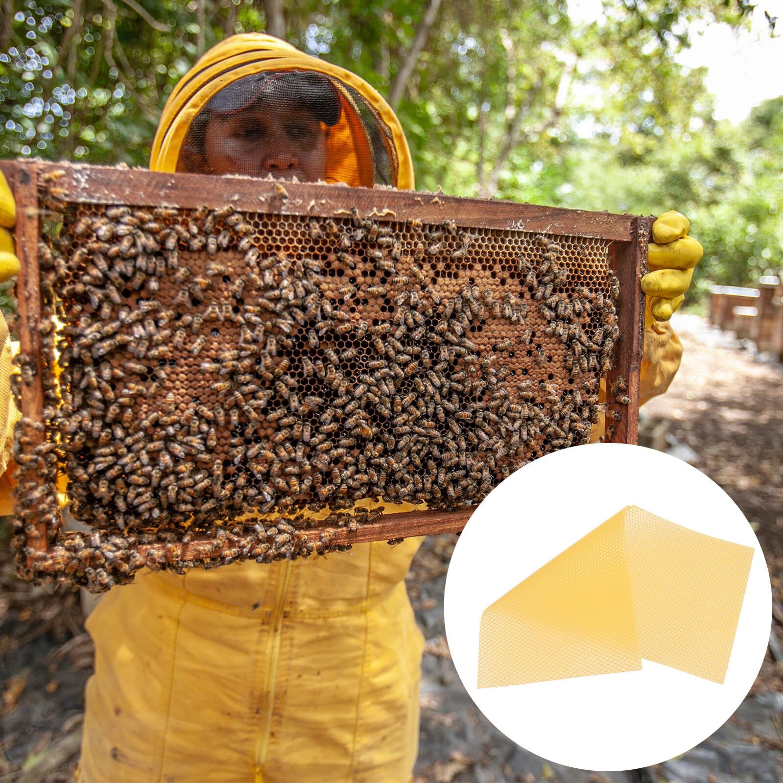 POPETPOP de Láminas de Cera de Panal Base Rápida para Apicultura 30 Piezas Alta Producción , Color Amarillo , Material Cera de Abeja para Proyectos DIY y Manualidades